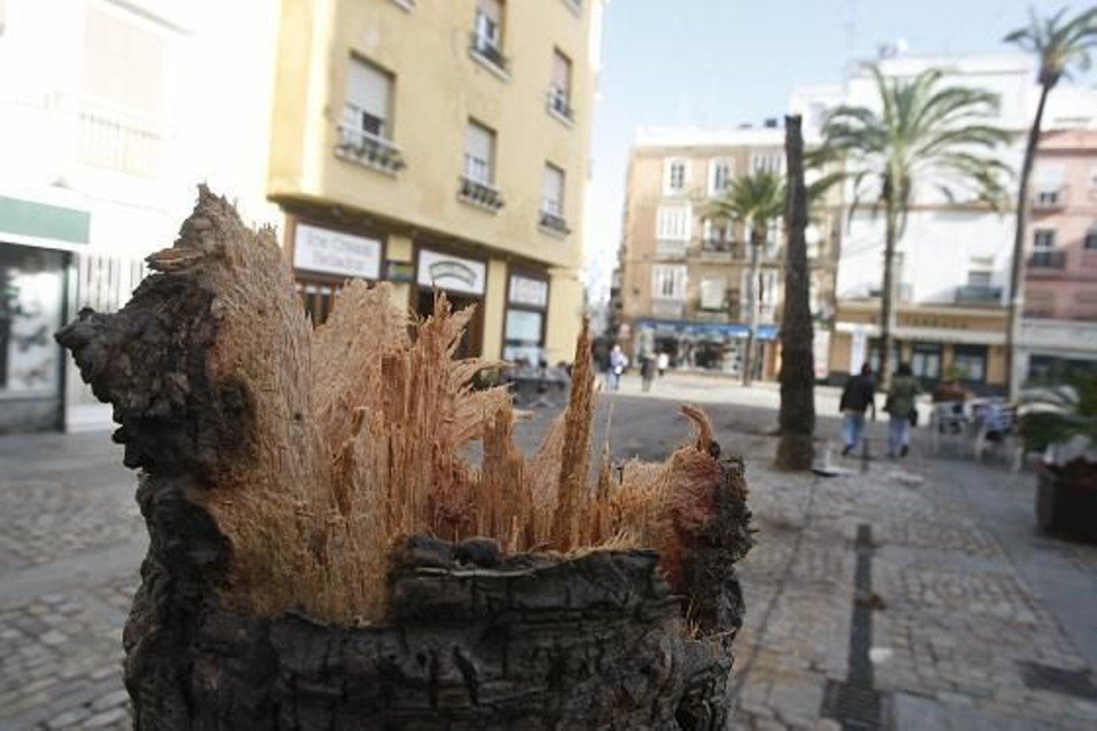 La noche de viento y lluvia se salda con múltiples destrozos en la capital. 

Foto: Jose Braza