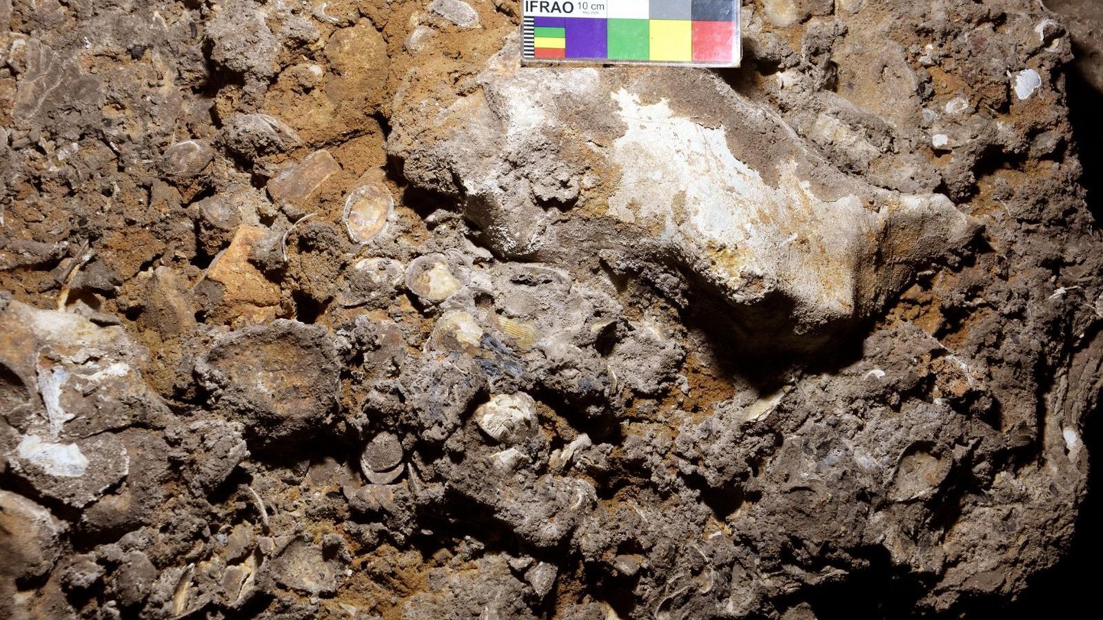 Conchero Magdaleniense (Paleolítico superior) en la Cueva del Tesoro Conchero Magdaleniense (Paleolítico superior) en la Cueva del Tesoro