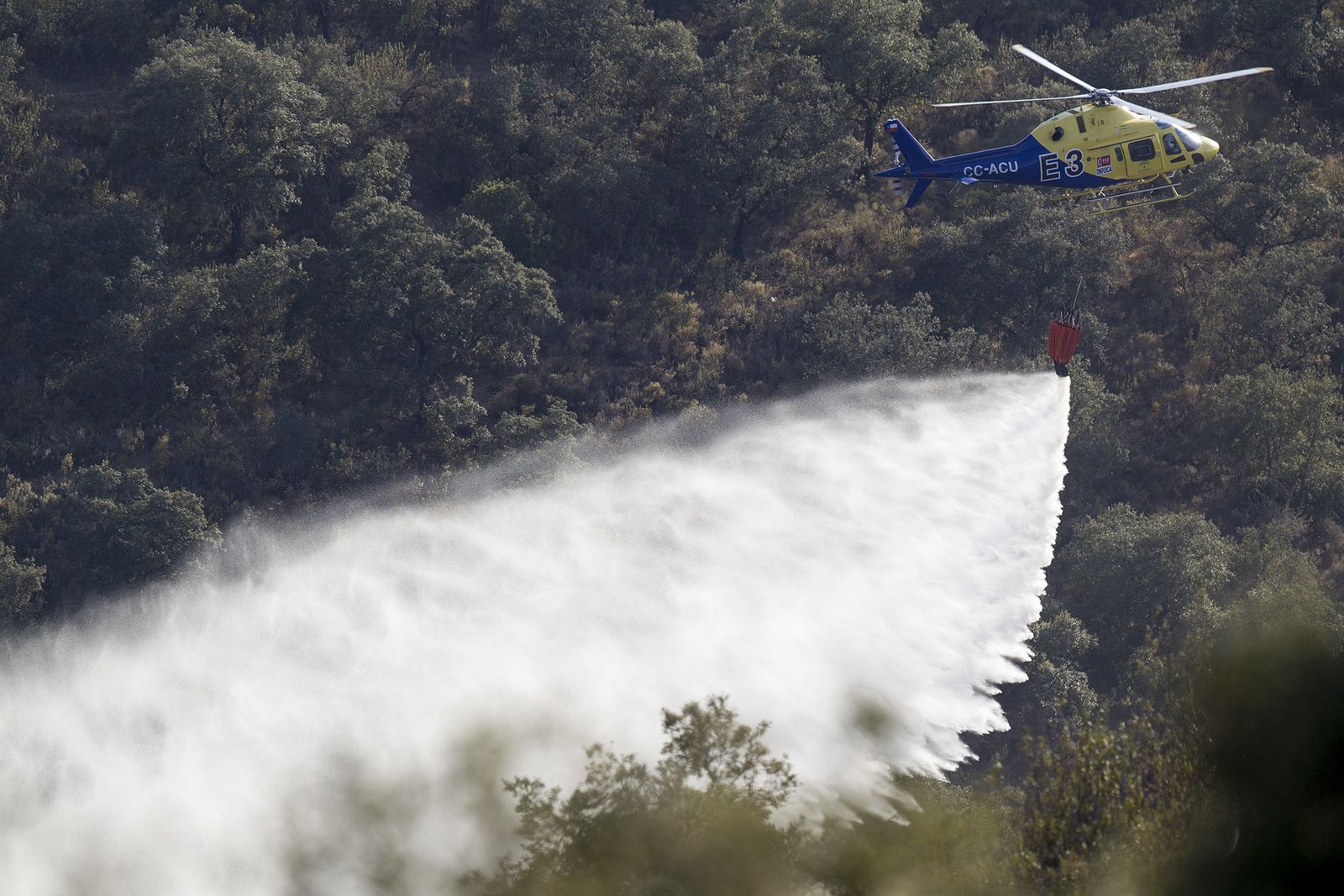 El incendio forestal de El Ronquillo, en imágenes