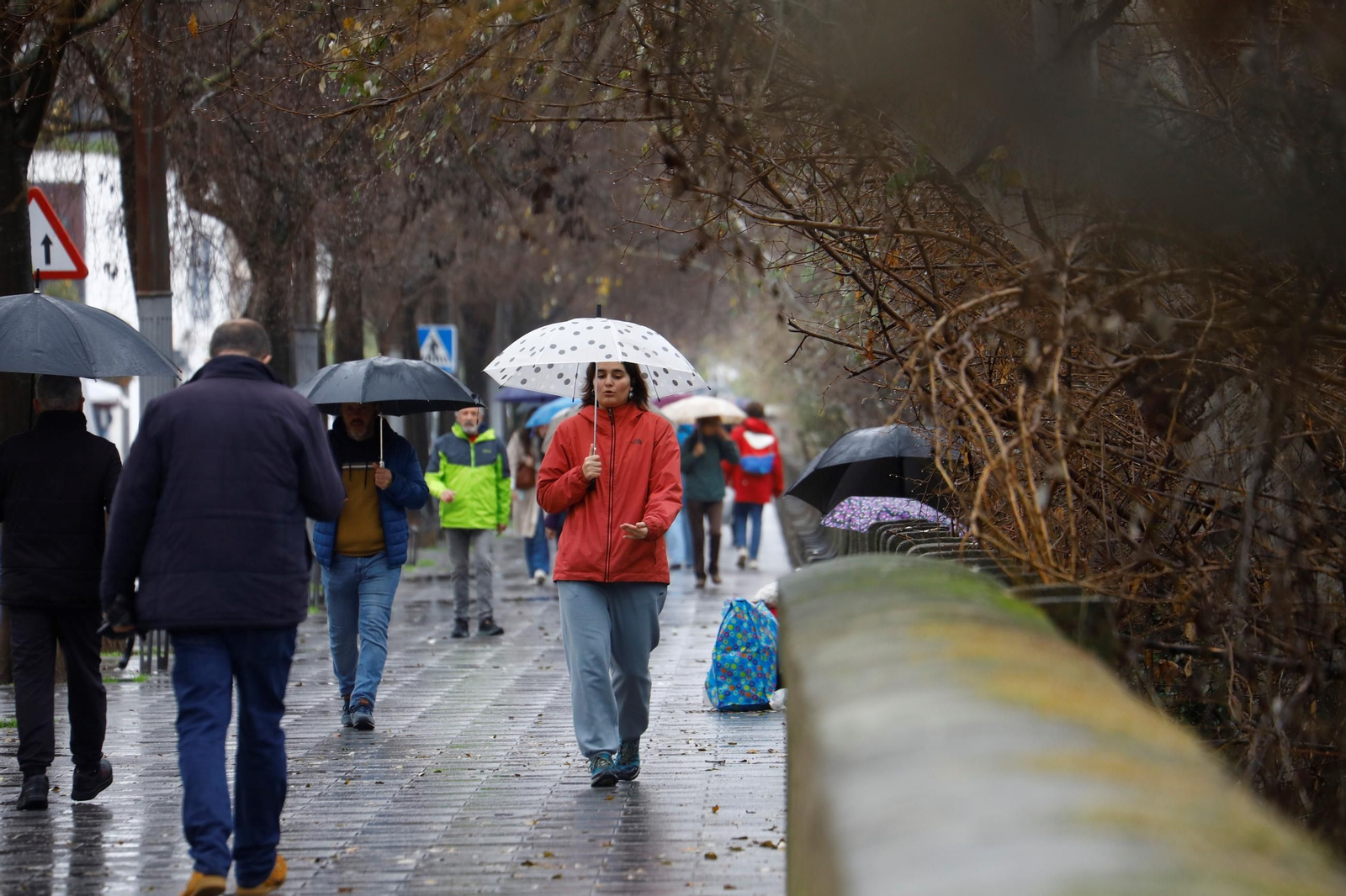 El paso de la borrasca Herminia por Córdoba, en imágenes