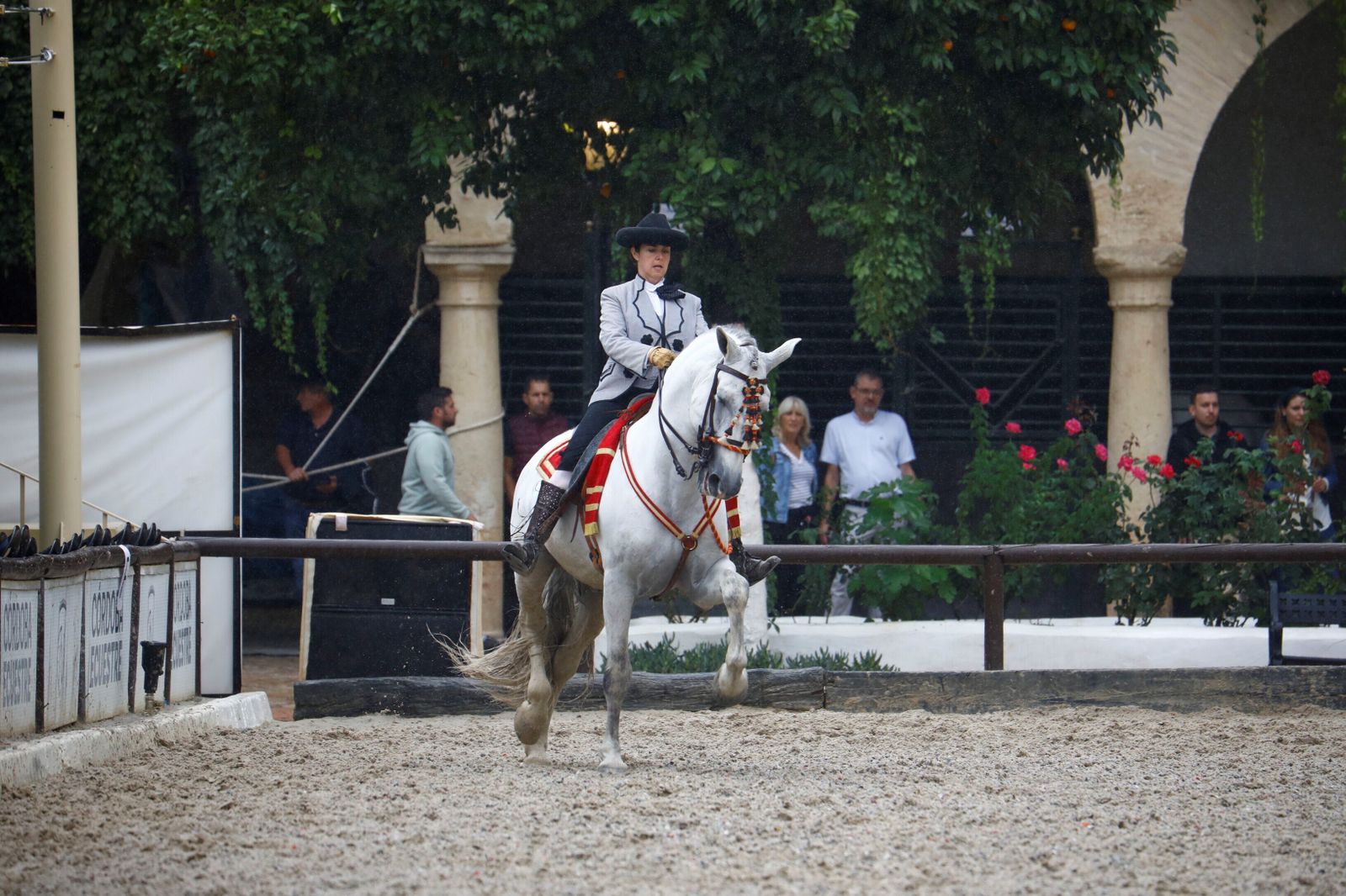 La celebración de la VI Copa de España de Alta Escuela en Córdoba, en imágenes