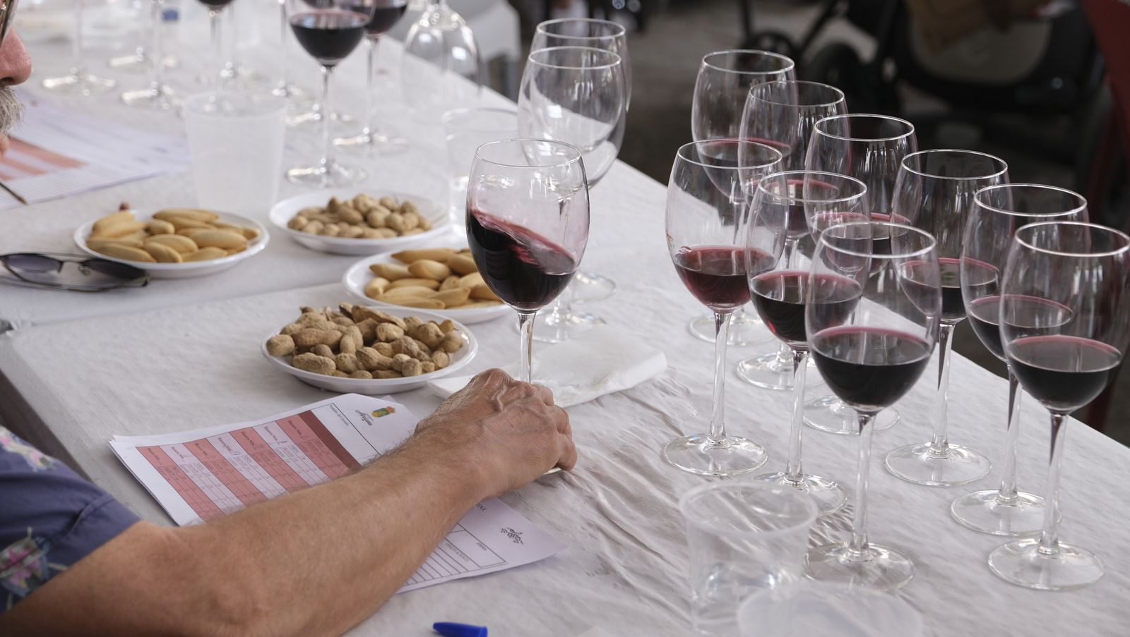 Imágenes del concurso de cata de vinos de las Fiestas de Abrucena 2022