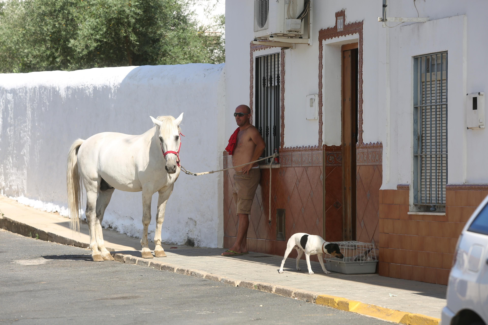 El incendio de Riotinto en imágenes