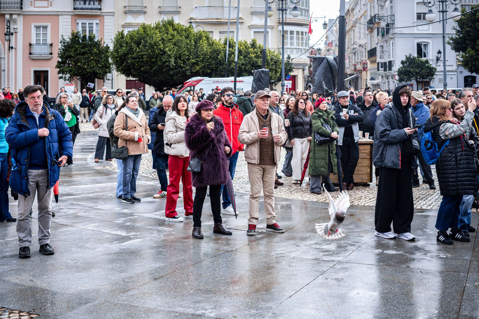Búscate entre las mejores imágenes que ha dejado la Ostionada Popular