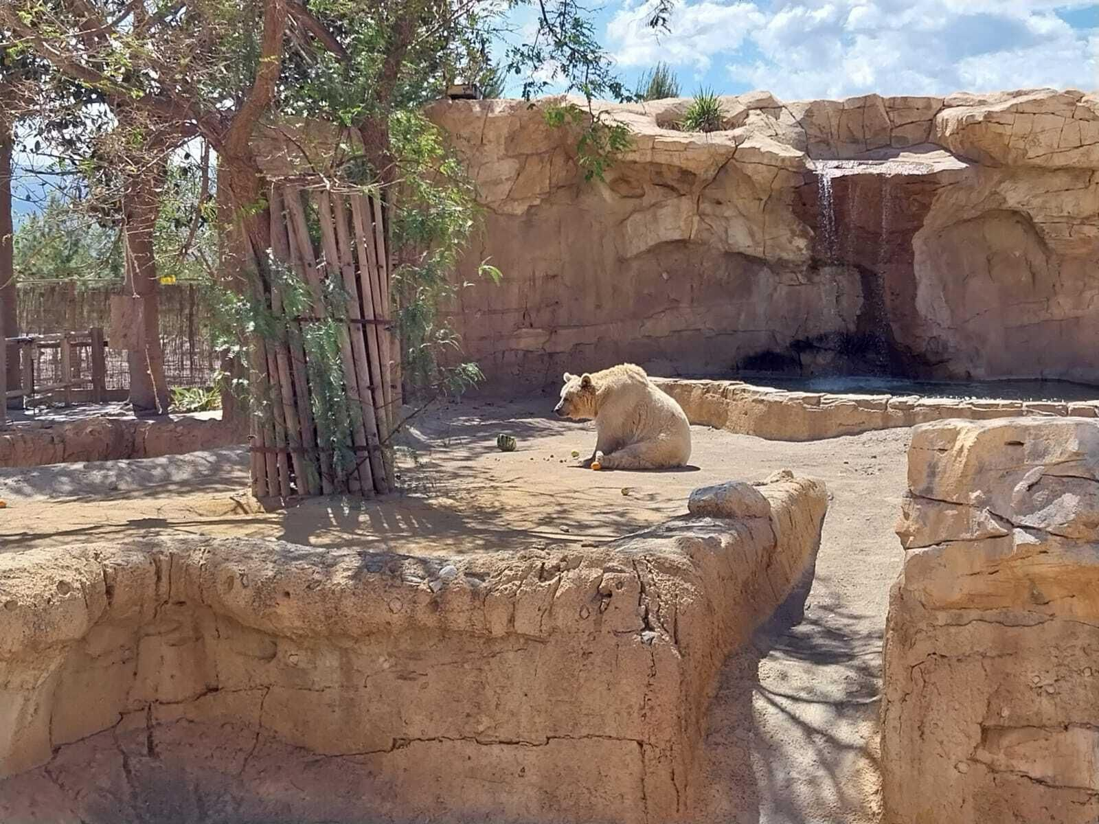 Vea cómo es el Mini Hollywood Oasys y sus espectaculares decorados