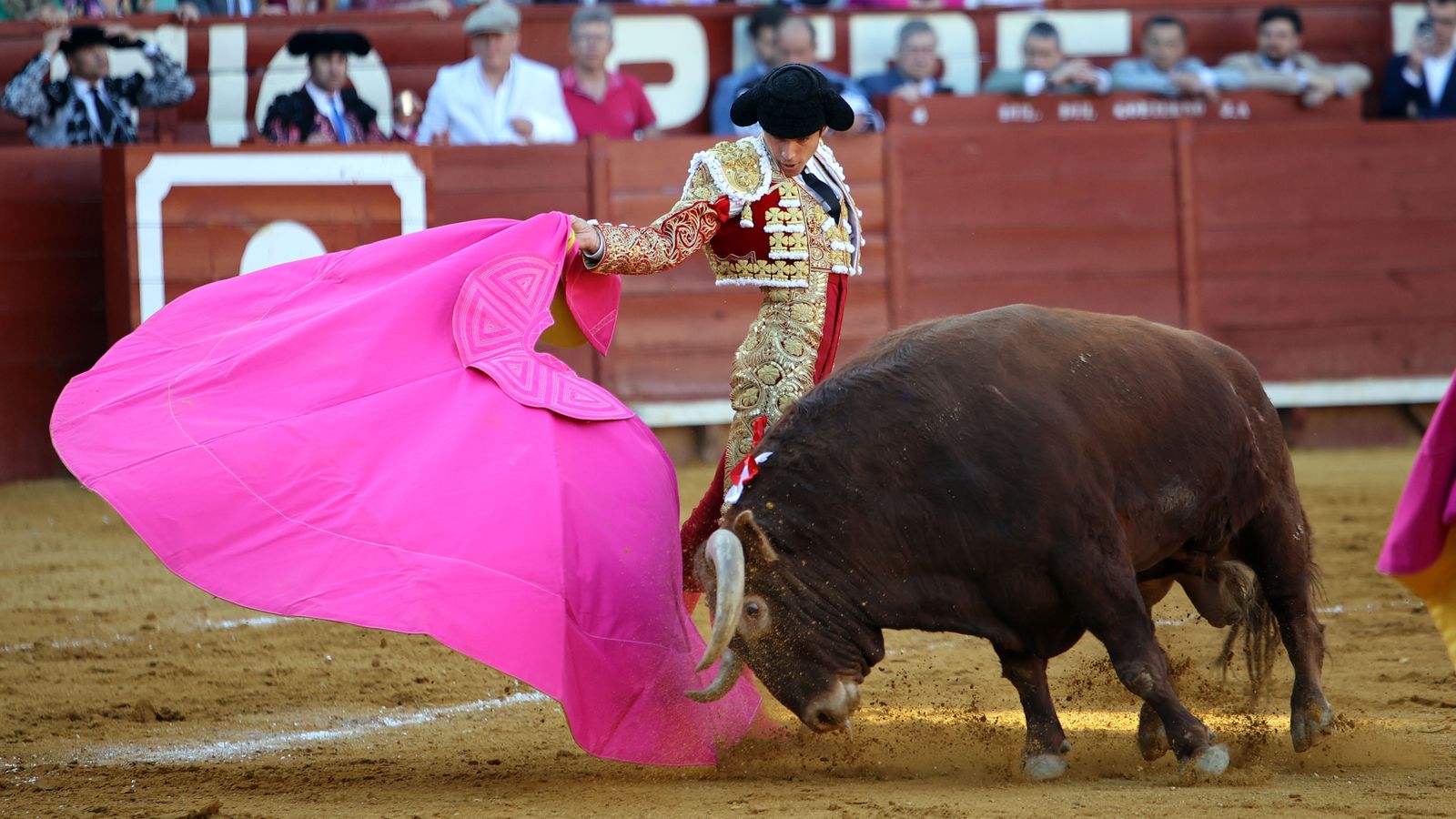 Última tarde de toros de la Feria de Jerez 2024 con Morante, Manzanares y Castella
