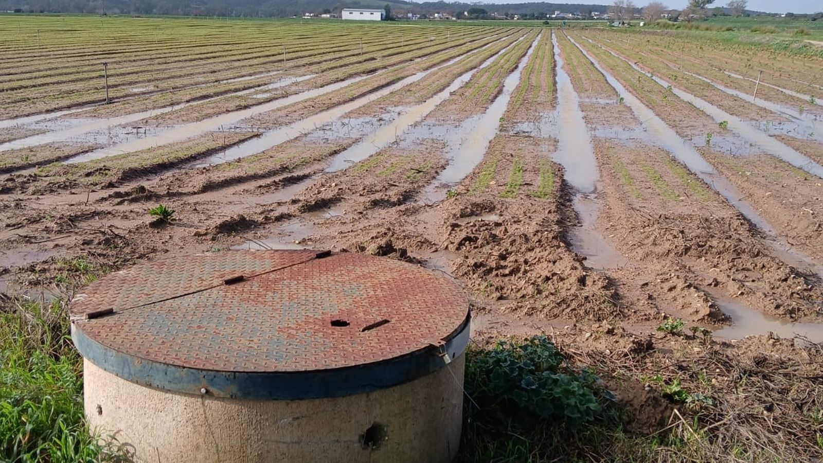 Terrenos cultivables inundados en la zona de la campiña de Jerez.