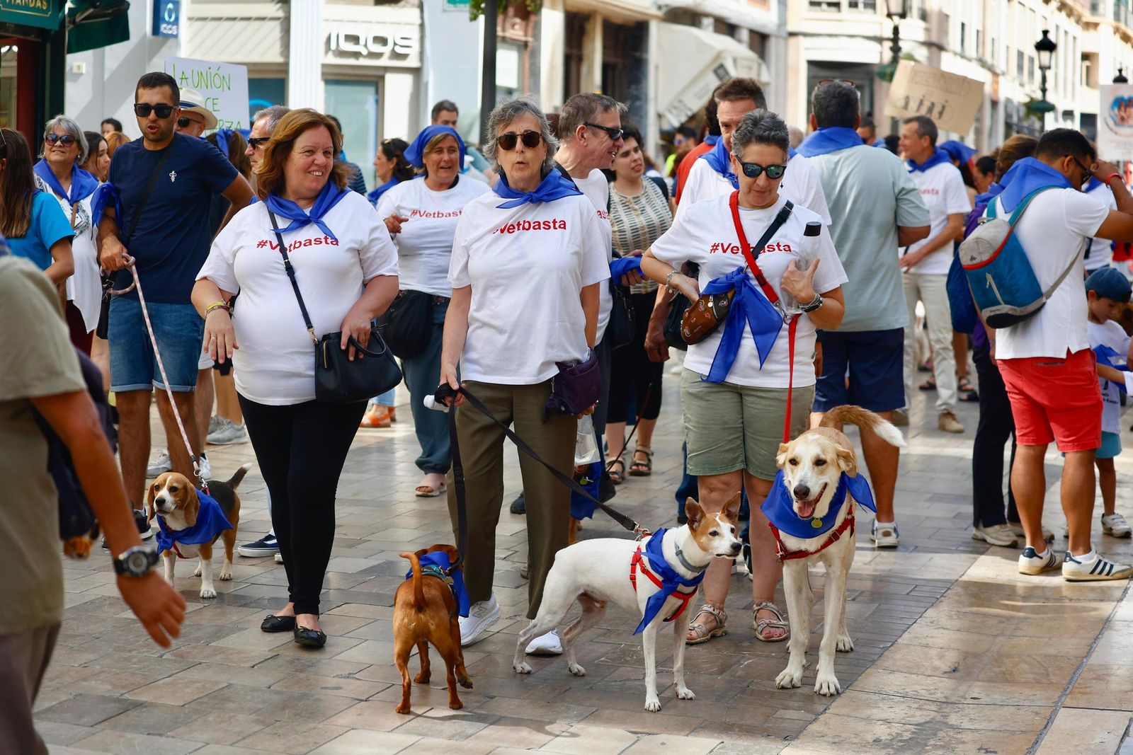 Veterinarios y dueños de mascotas toman calle Larios contra la restricción del uso de medicamentos, en imágenes