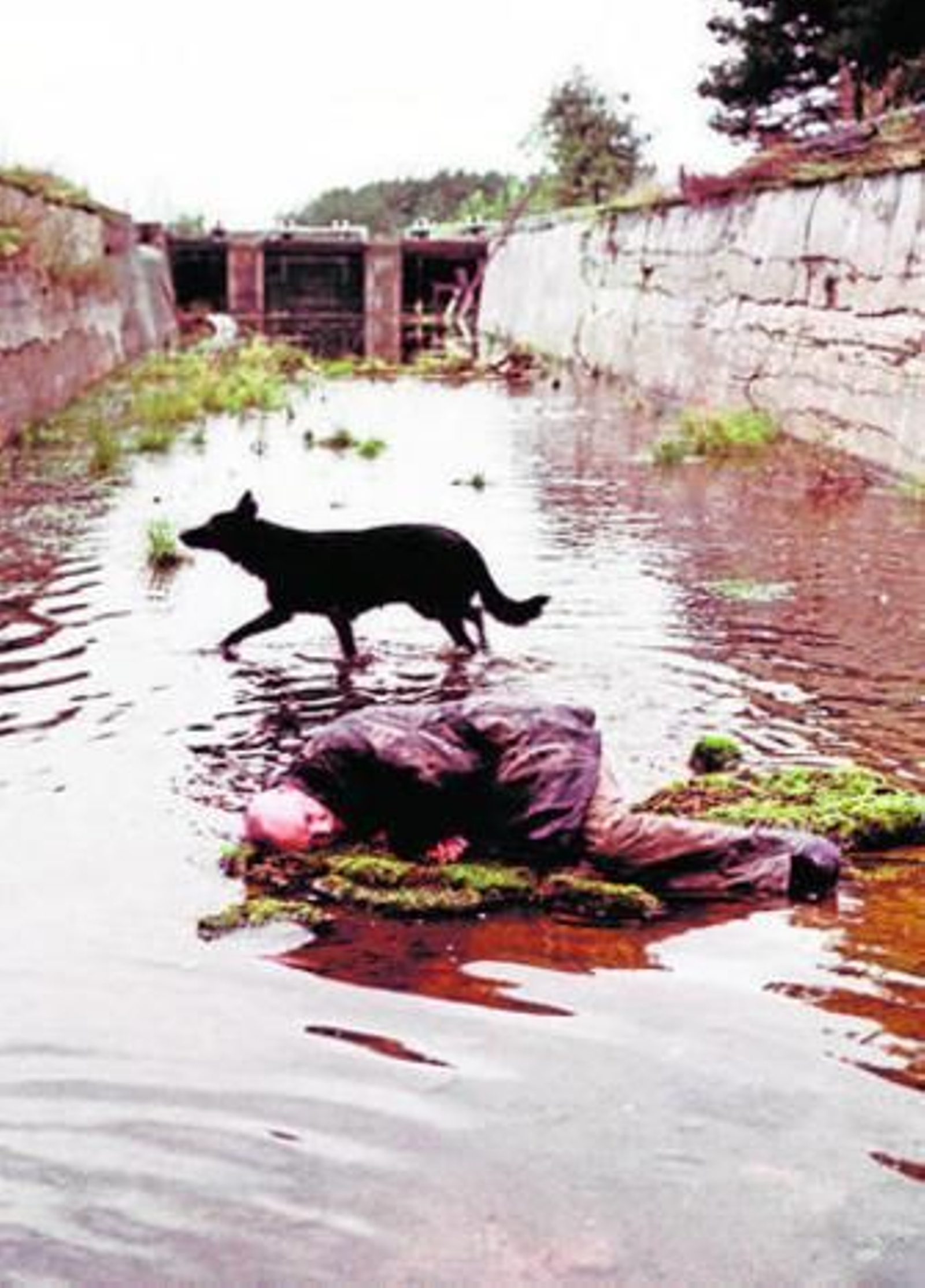 'Stalker' (Andrei Tarkovski, 1979), adaptación de 'Picnic extraterrestre'.