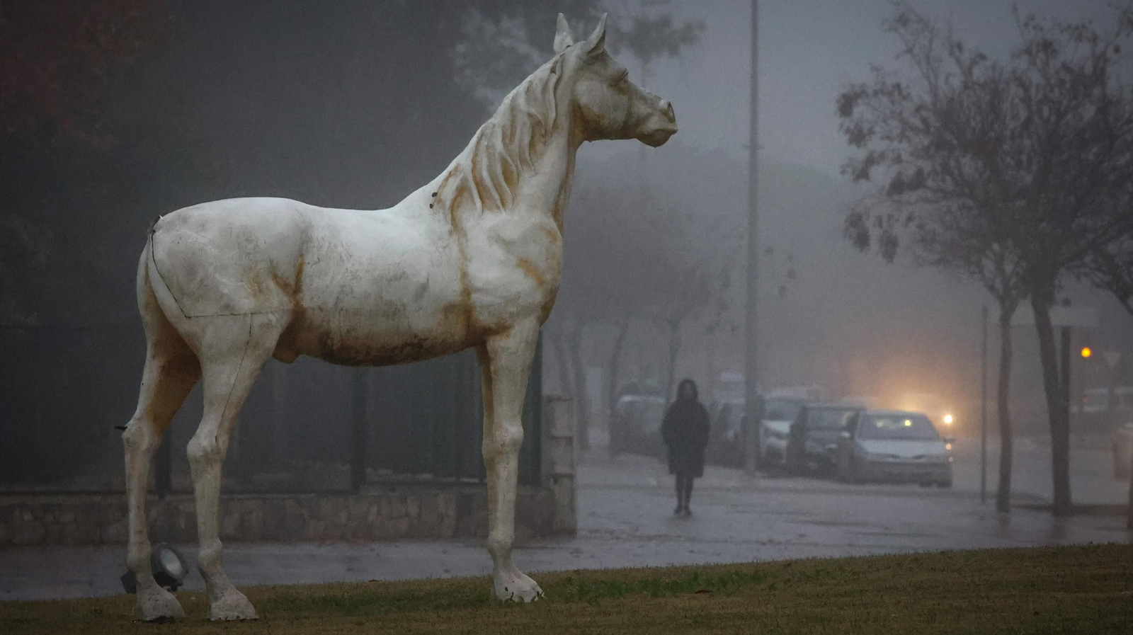 Densa niebla en Jerez