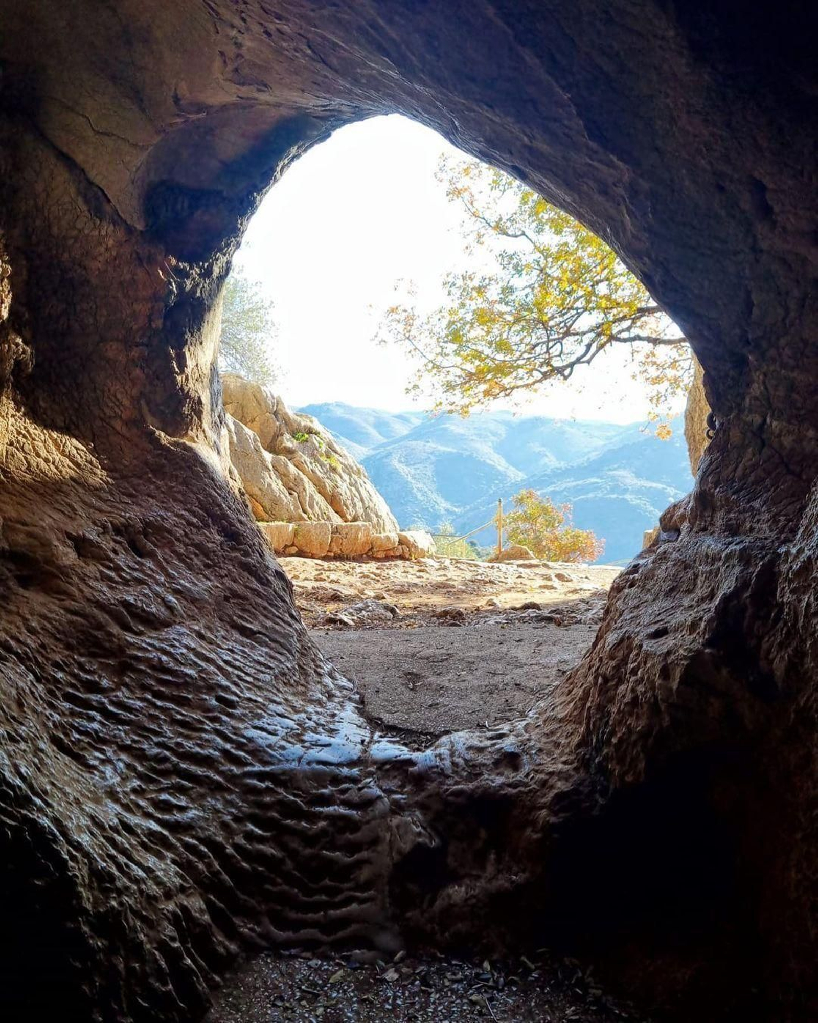 Cueva de la Pileta Cueva de la Pileta