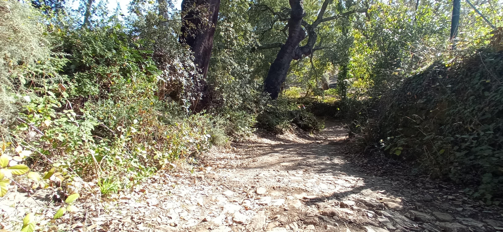 Las imágenes de la ruta de la cascada de Jollarancos y bosque de las letras