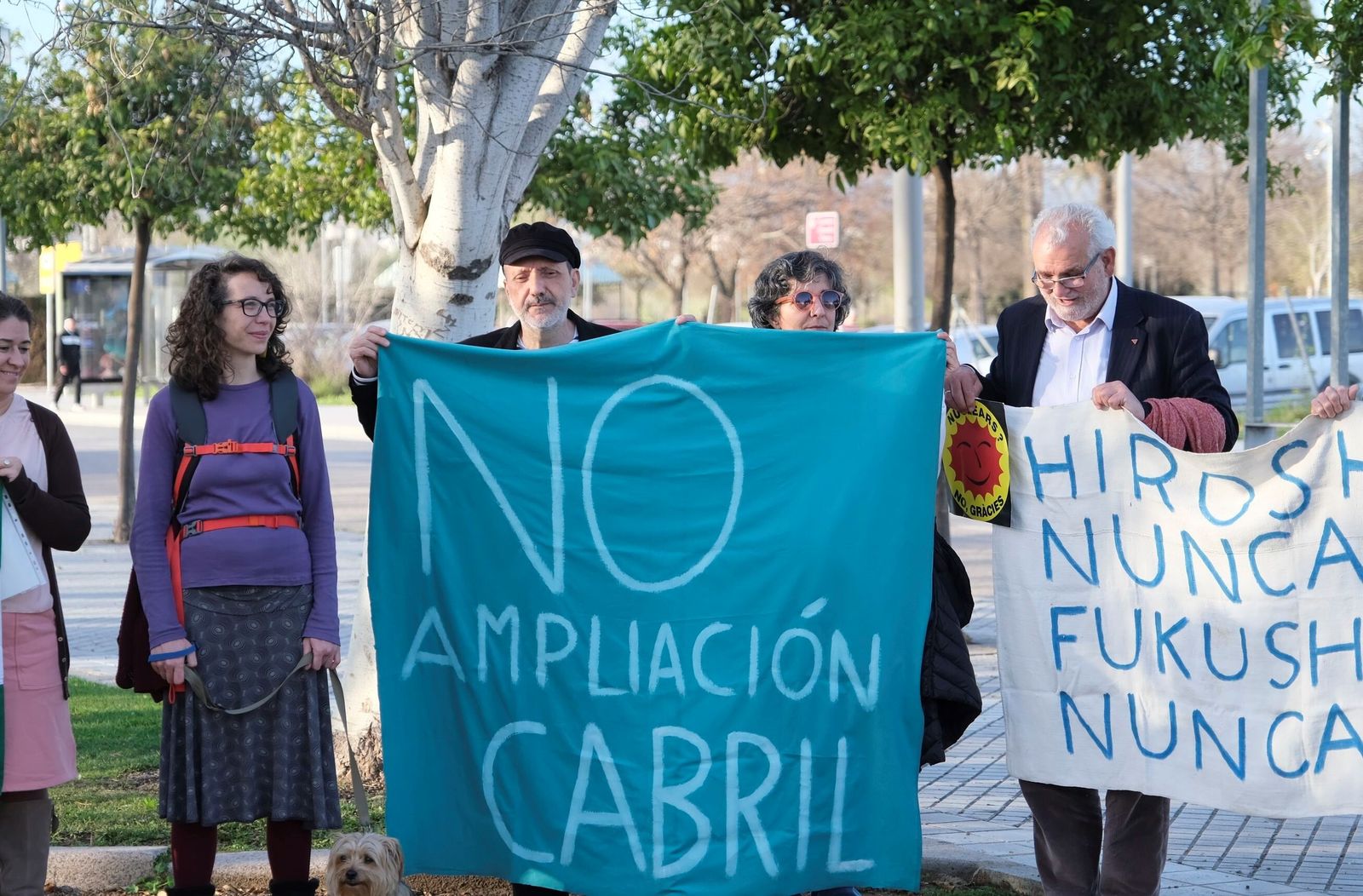 Plantan un nuevo ginkgo en Córdoba por el aniversario del accidente de Fukushima, en imágenes