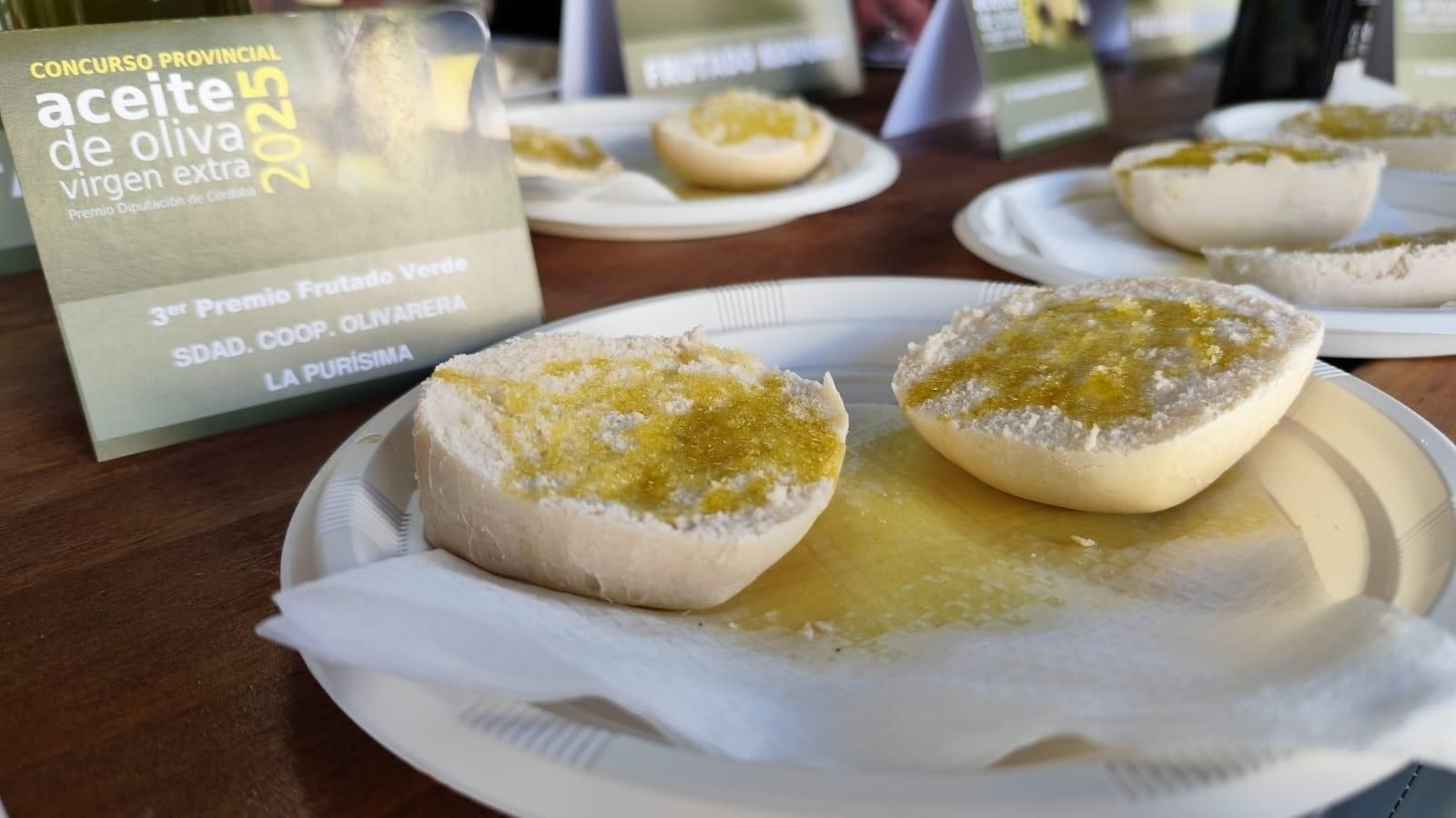 El Festival del Aceite Córdoba Virgen Extra de Córdoba, en imágenes