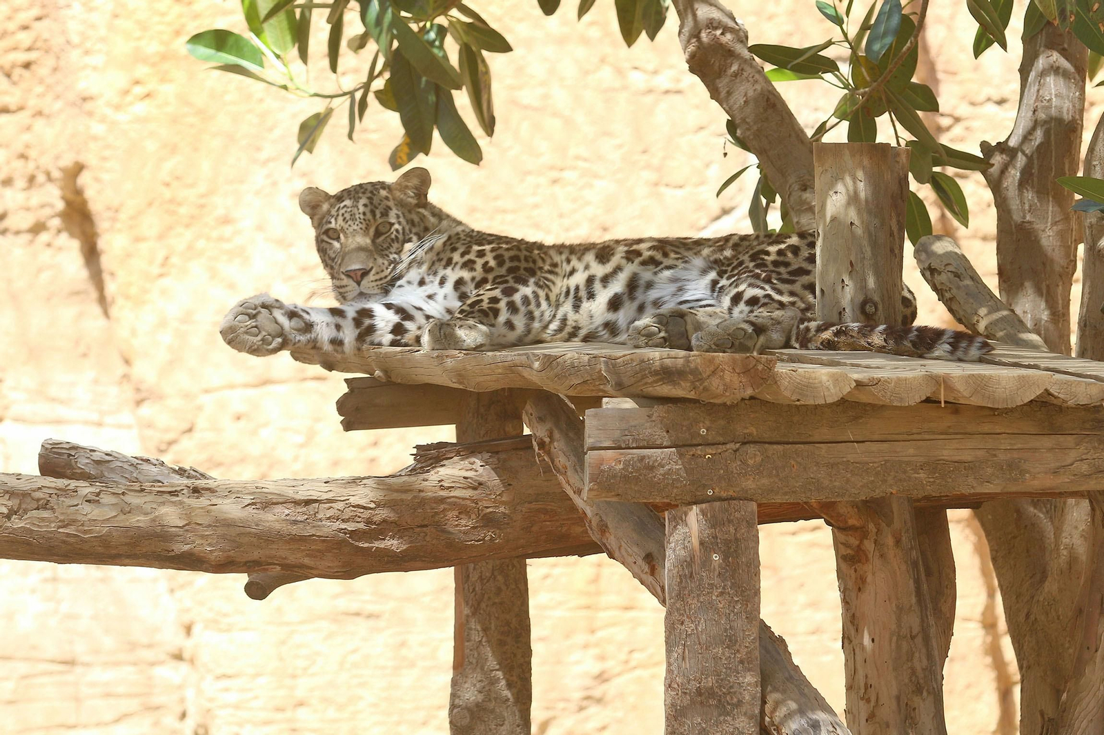 Fotogalería del Oasys Mini Hollywood sin actividad durante el coronavirus