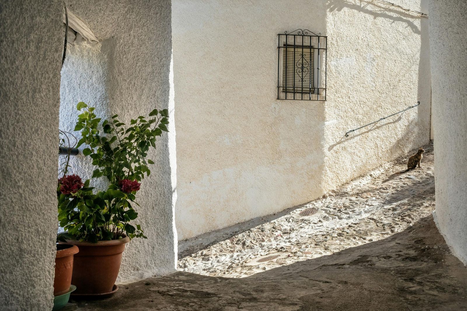 Fotografía de Susana Girón, en Pampaneira