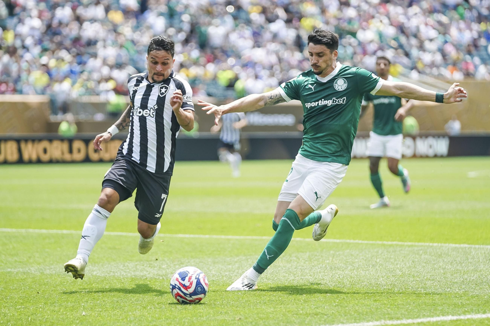 Palmeiras-Botafogo (6).jpg