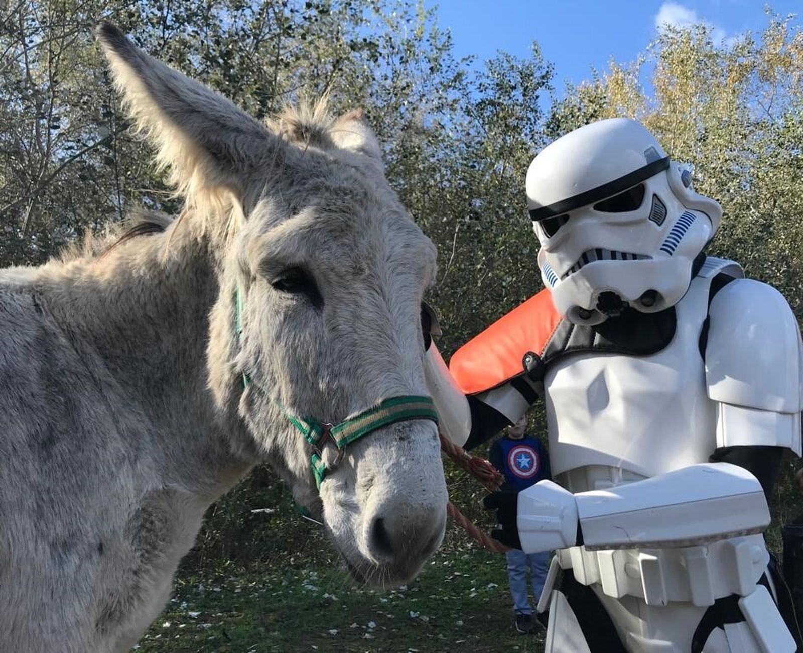 Tropas imperiales con un burro de Doñana.