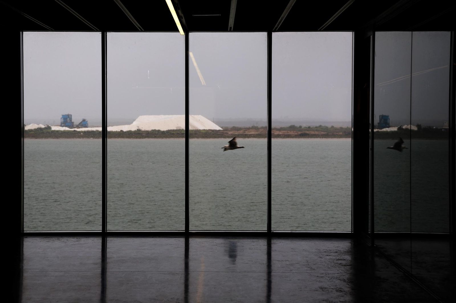 Imágenes del jueves 7 de marzo en Huelva