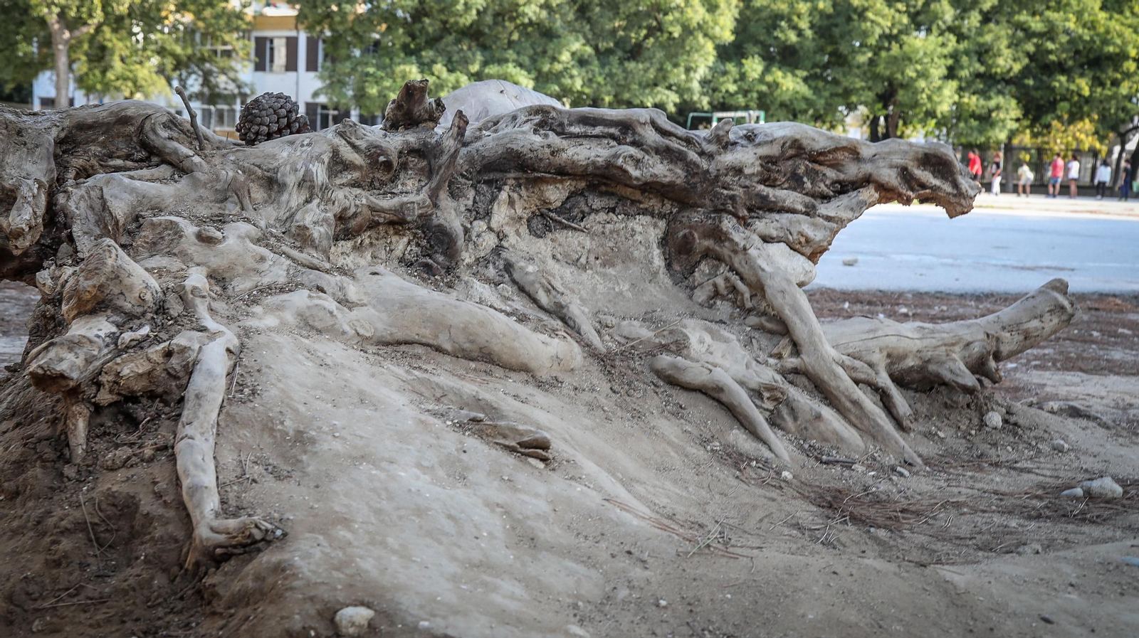 Imágenes del mal estado del CEIP Tartesos