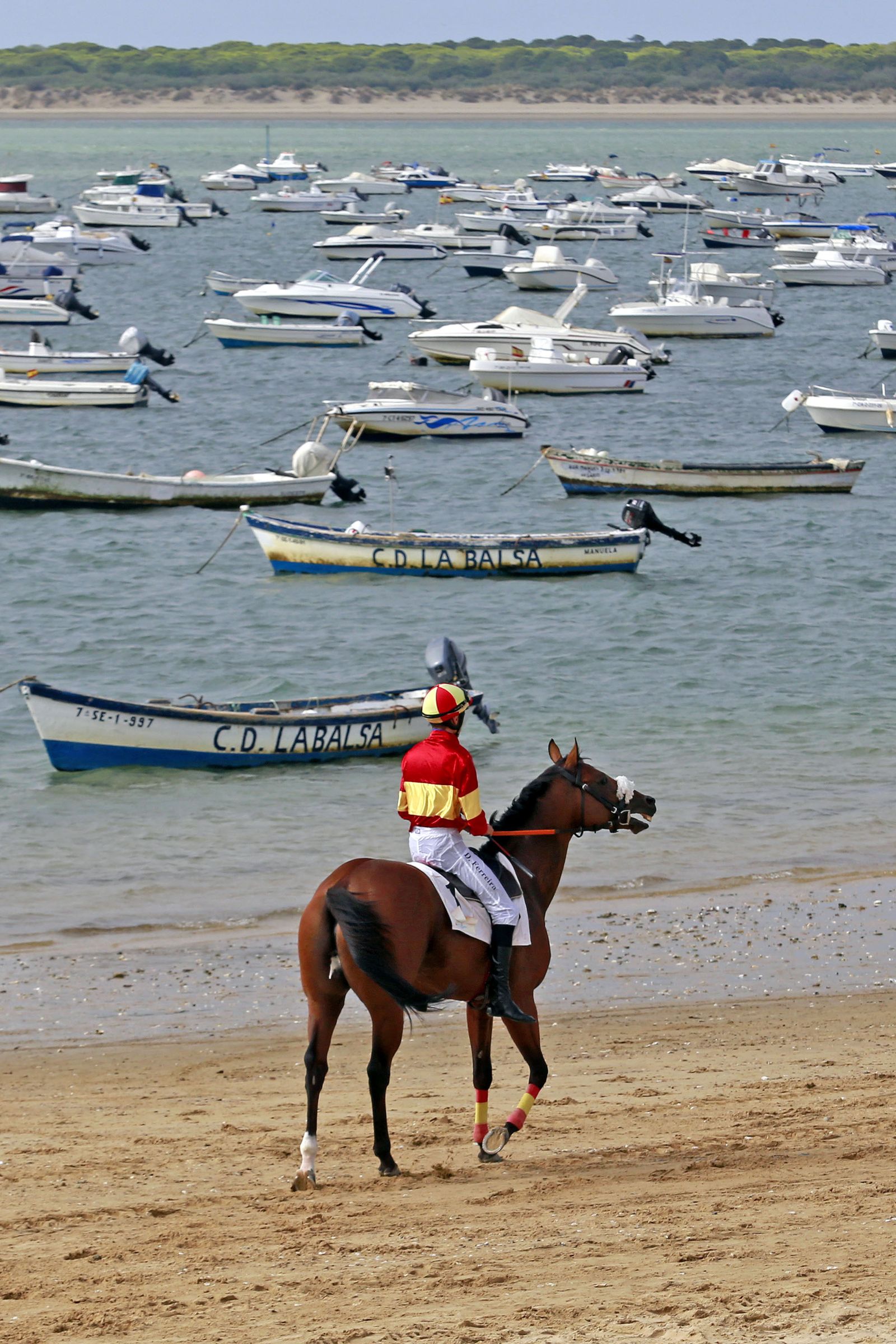 Un jinete contempla la playa tras finalizar la carrera.