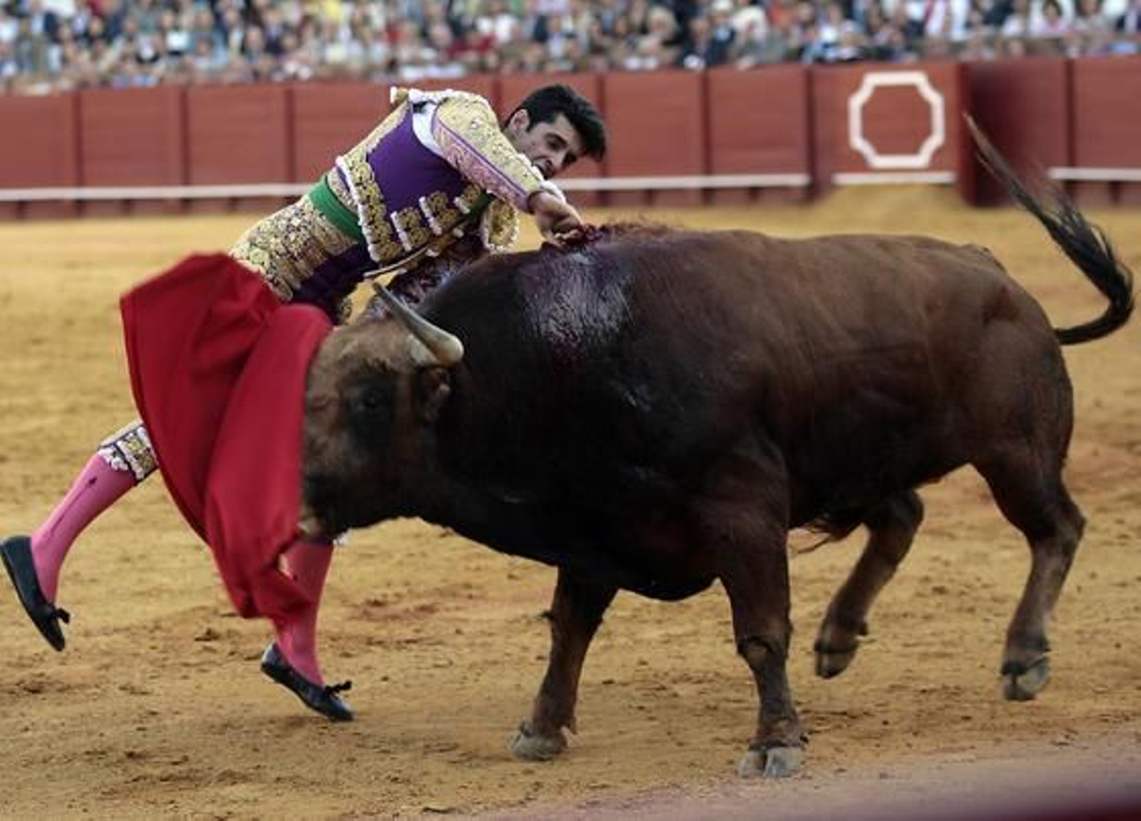 Foto: Juan Carlos Muñoz