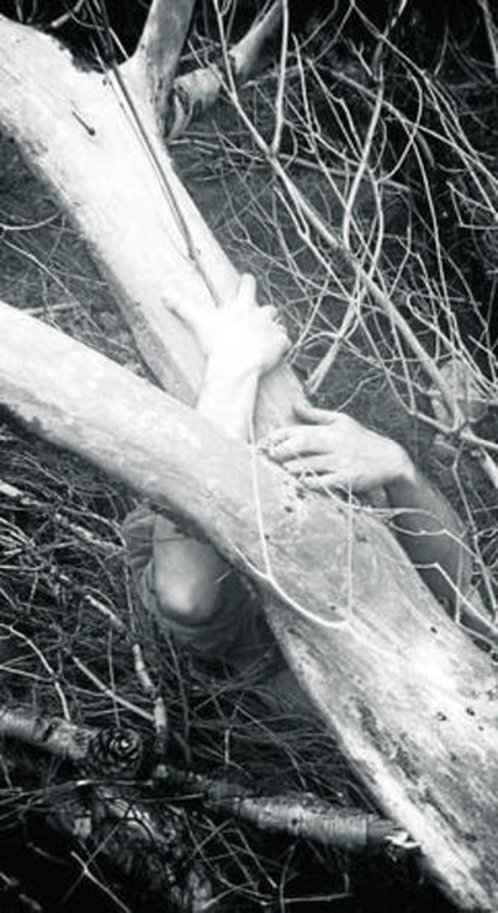 Una de las fotografías que forman parte de la muestra 'Origen'.