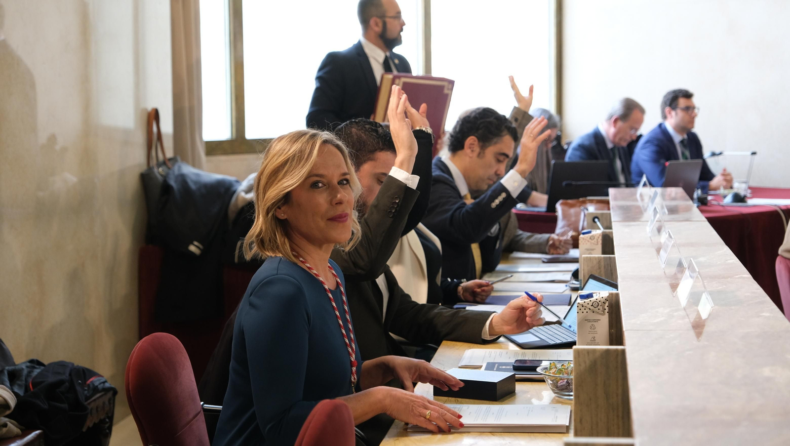 Imágenes del Pleno del Ayuntamiento de Almería