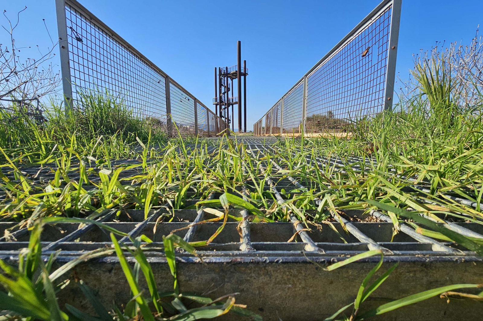 Fotografías del estado del Parque del Centenario de Algeciras
