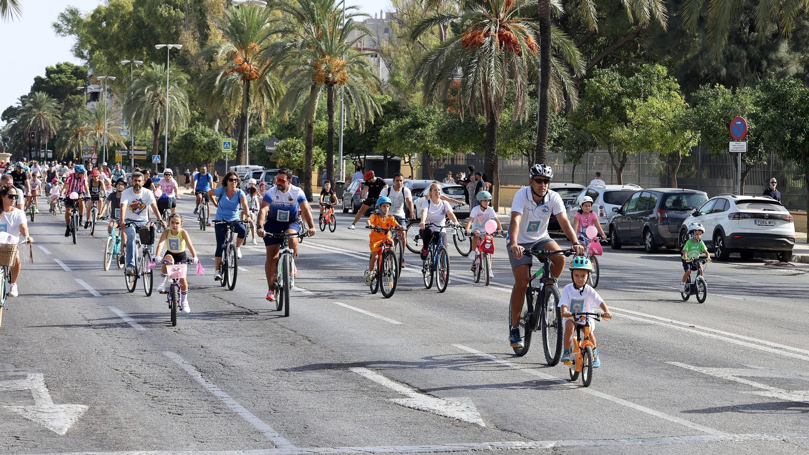 Búscate en la Bici-amistad y la Fiesta de la Movilidad en Jerez