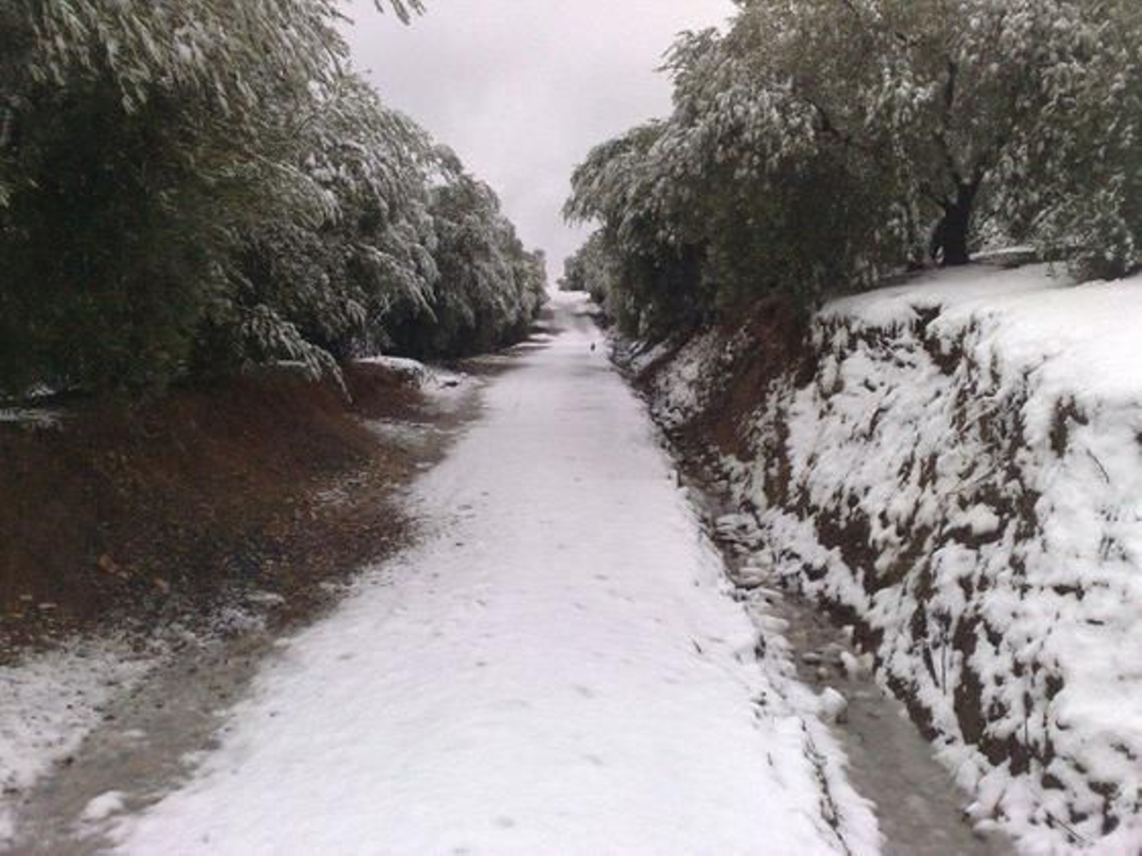 Nieve en Lora del Rio./ Luis Valverde Parrondo