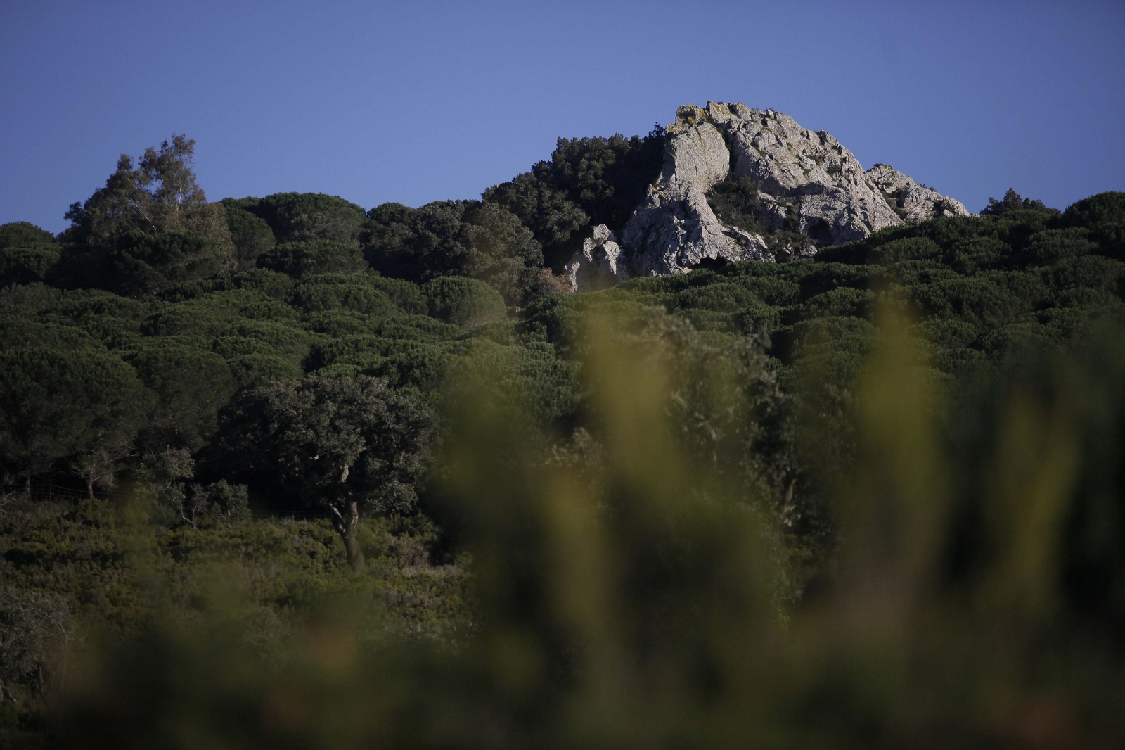 Sendero de la finca Murta en Los Barrios