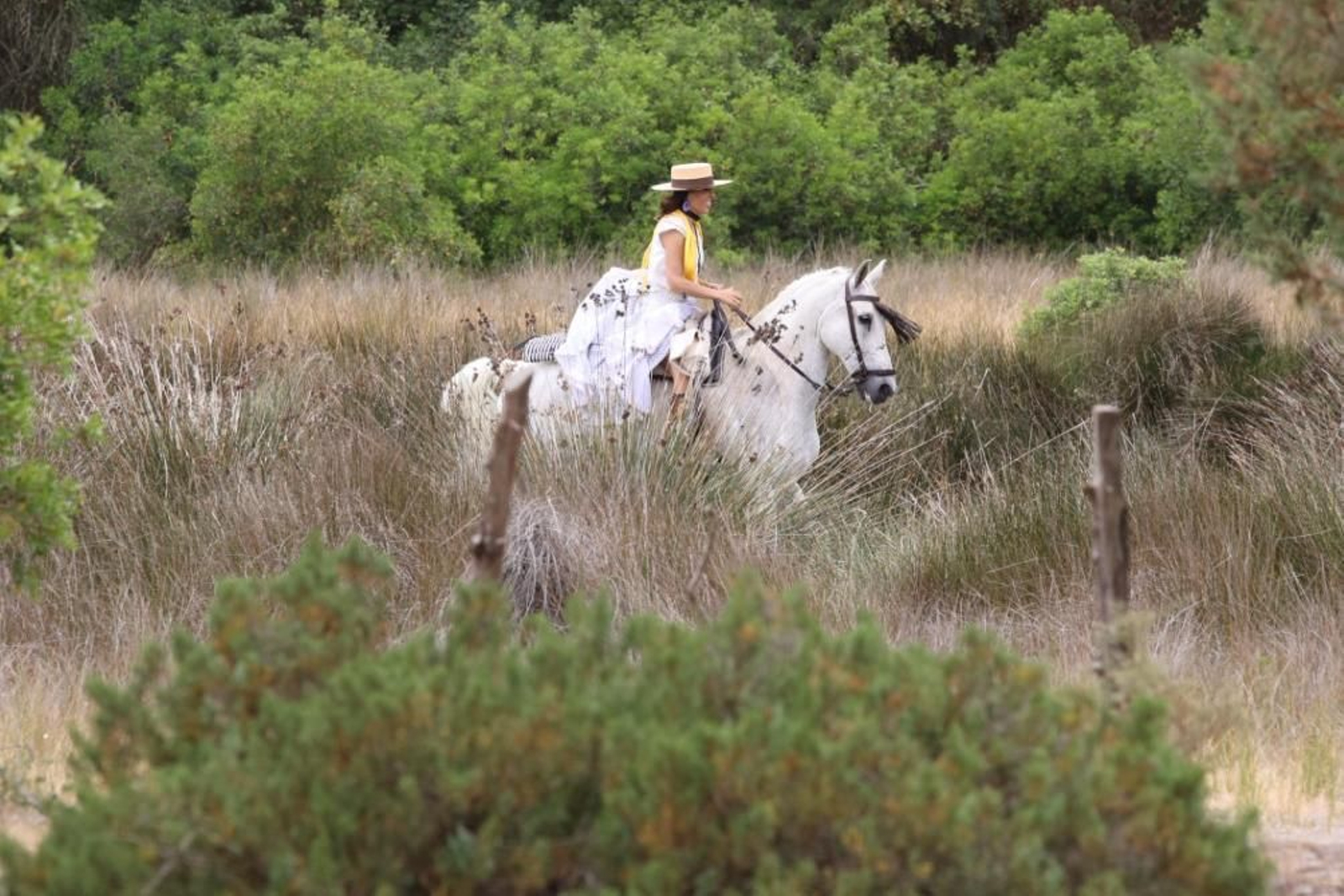Imágenes de la Hermandad del Rocío de Jerez el jueves por el Coto