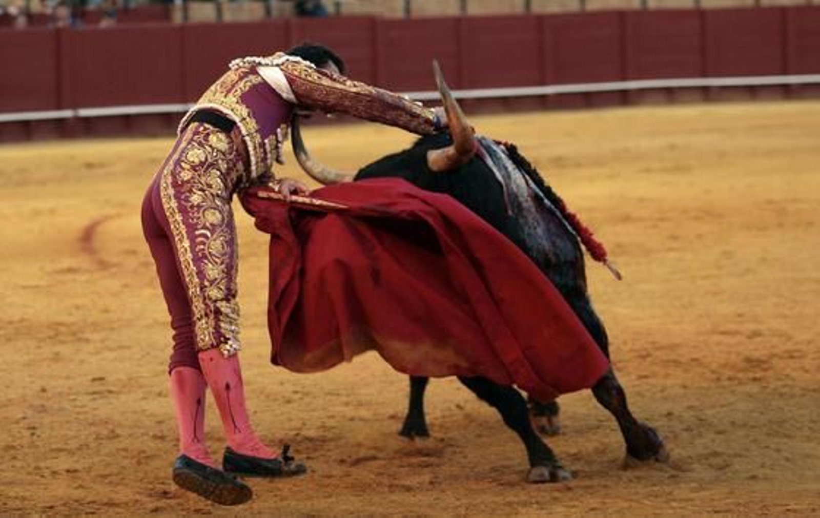 Foto: Juan Carlos Muñoz