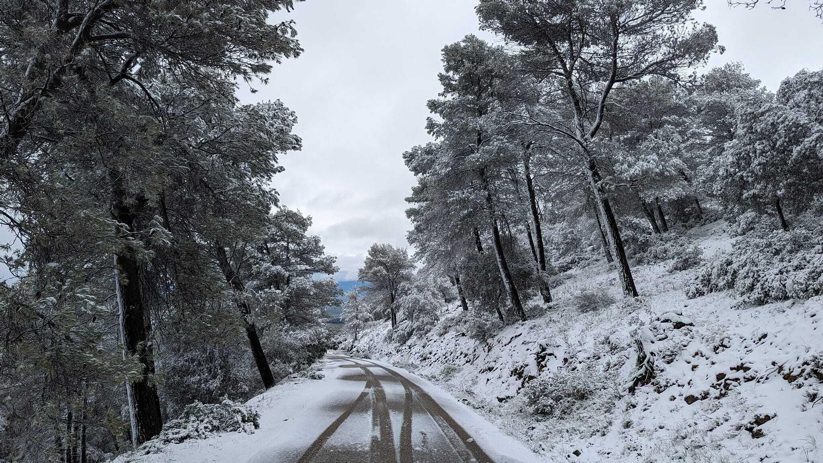 Mancha Real - Sierra Mágina