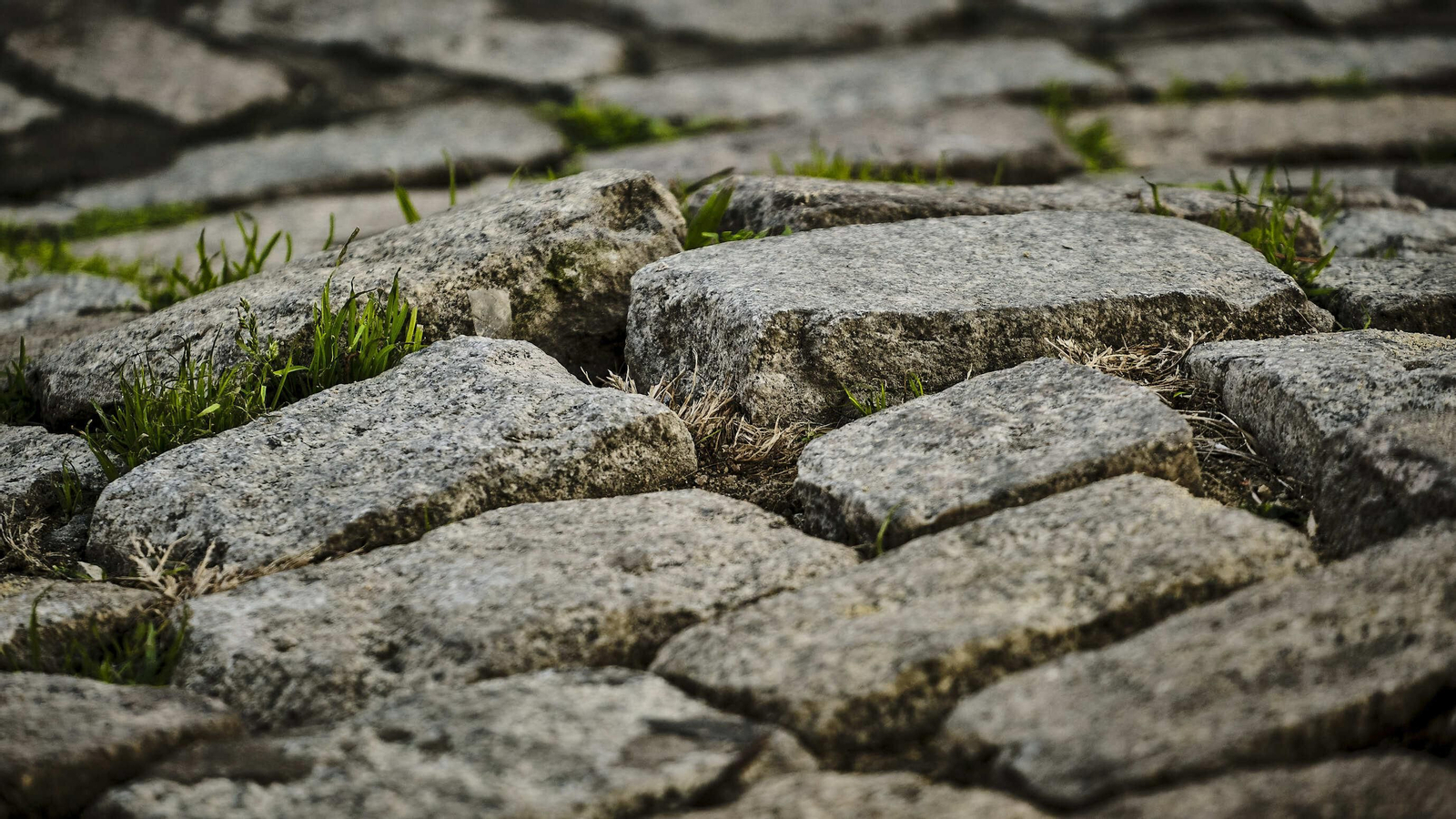 Estado del pavimento en plaza de la Catedral