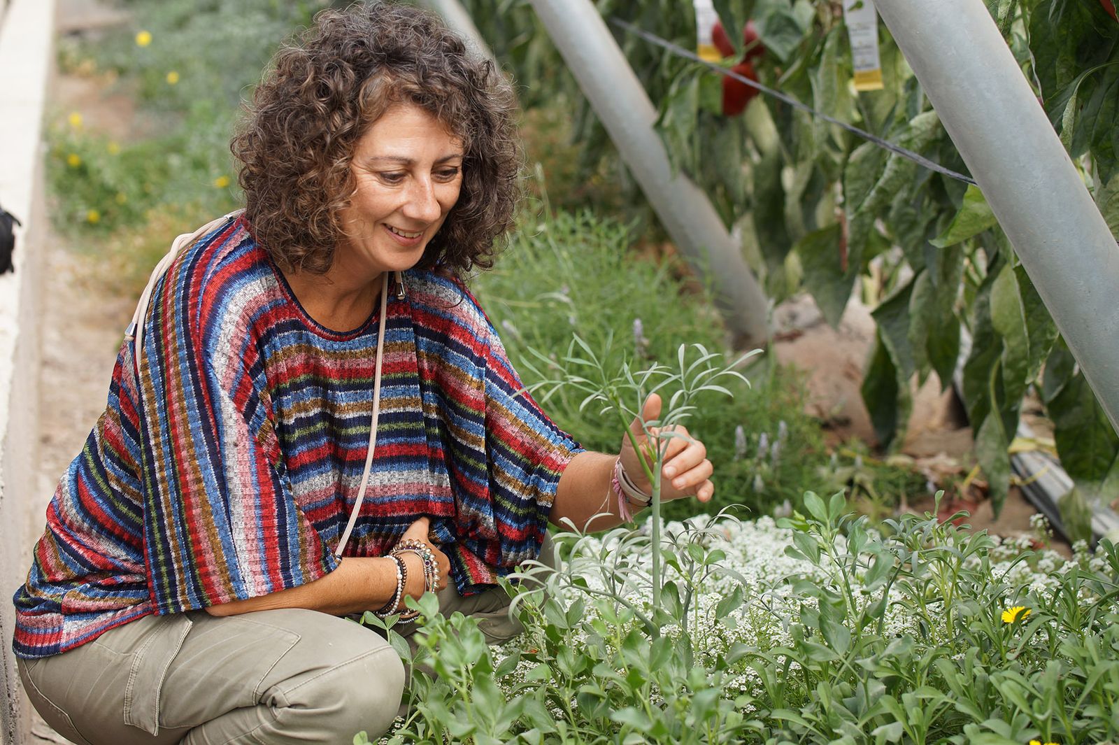 Mónica González, de Agrobío.