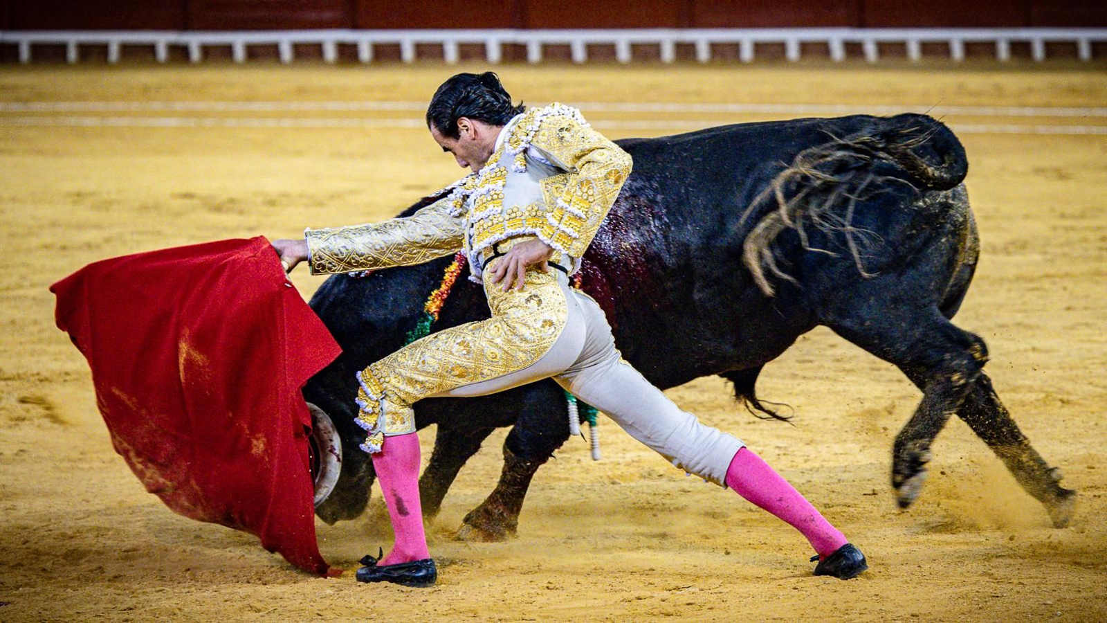 Las imágenes de la corrida de toros en El Puerto: Morante, Talavante y Juan Ortega