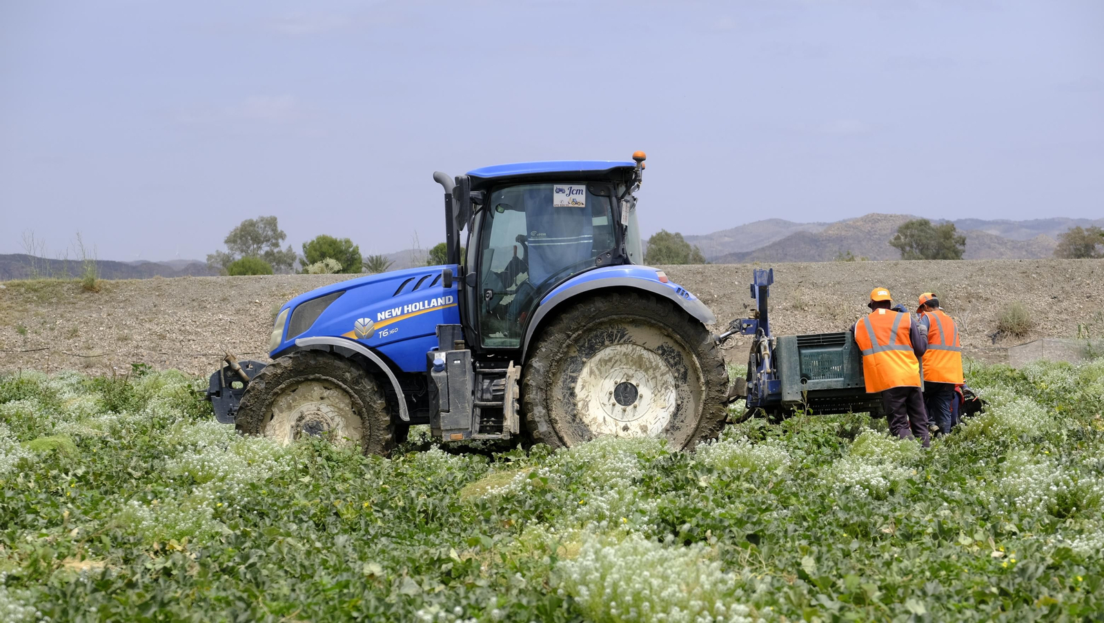 La sandía y el melón de Huércal Overa, manjares en imágenes