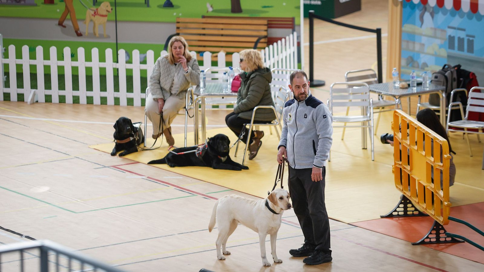 La Fundación ONCE del Perro Guía (FOPG) realizó este martes en Armilla una exhibición con estos animales