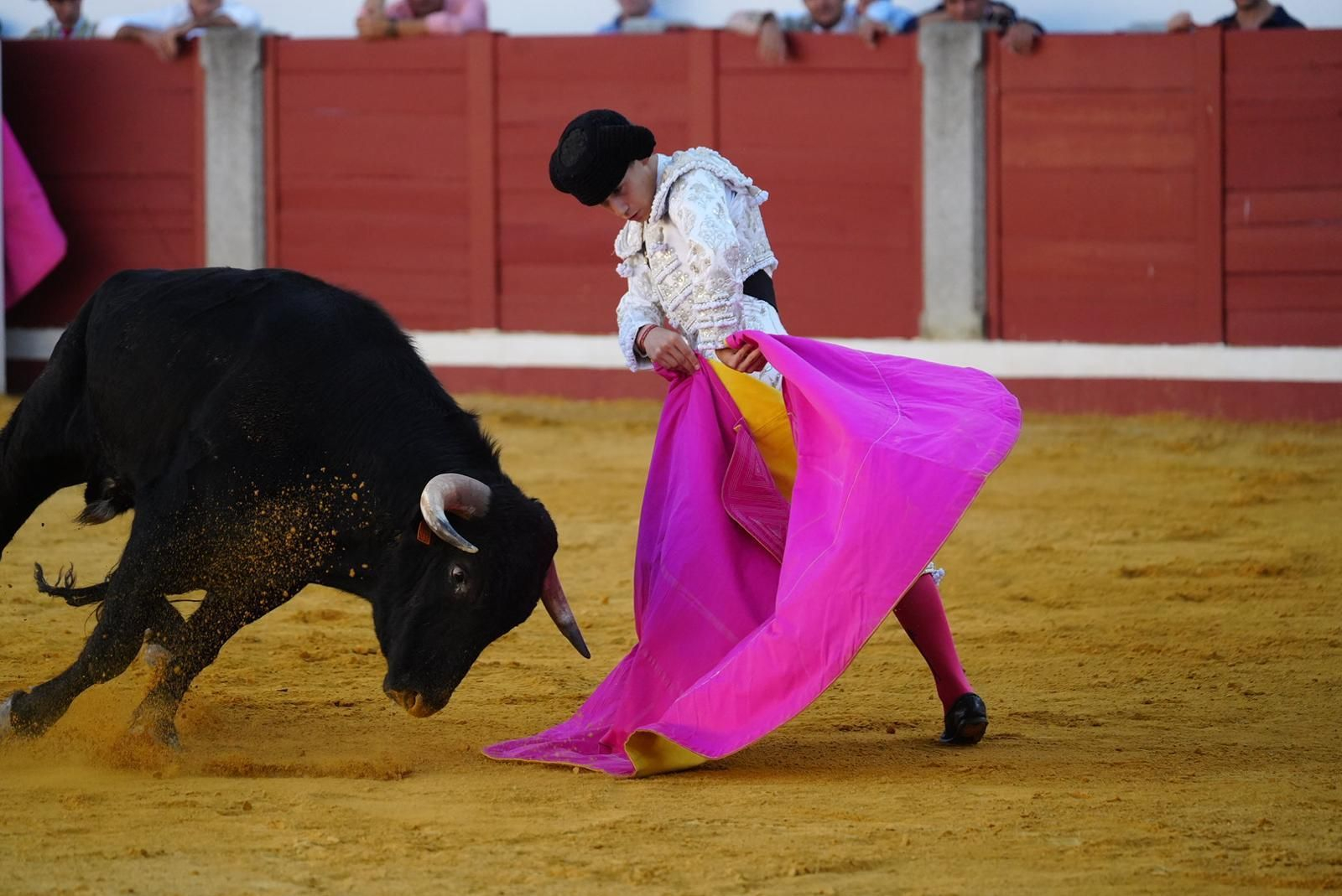 Las fotos del triunfo de Manuel Quintana en la feria taurina de Pozoblanco