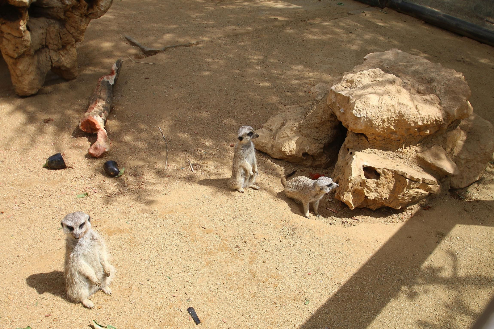 Fotogalería del Oasys Mini Hollywood sin actividad durante el coronavirus