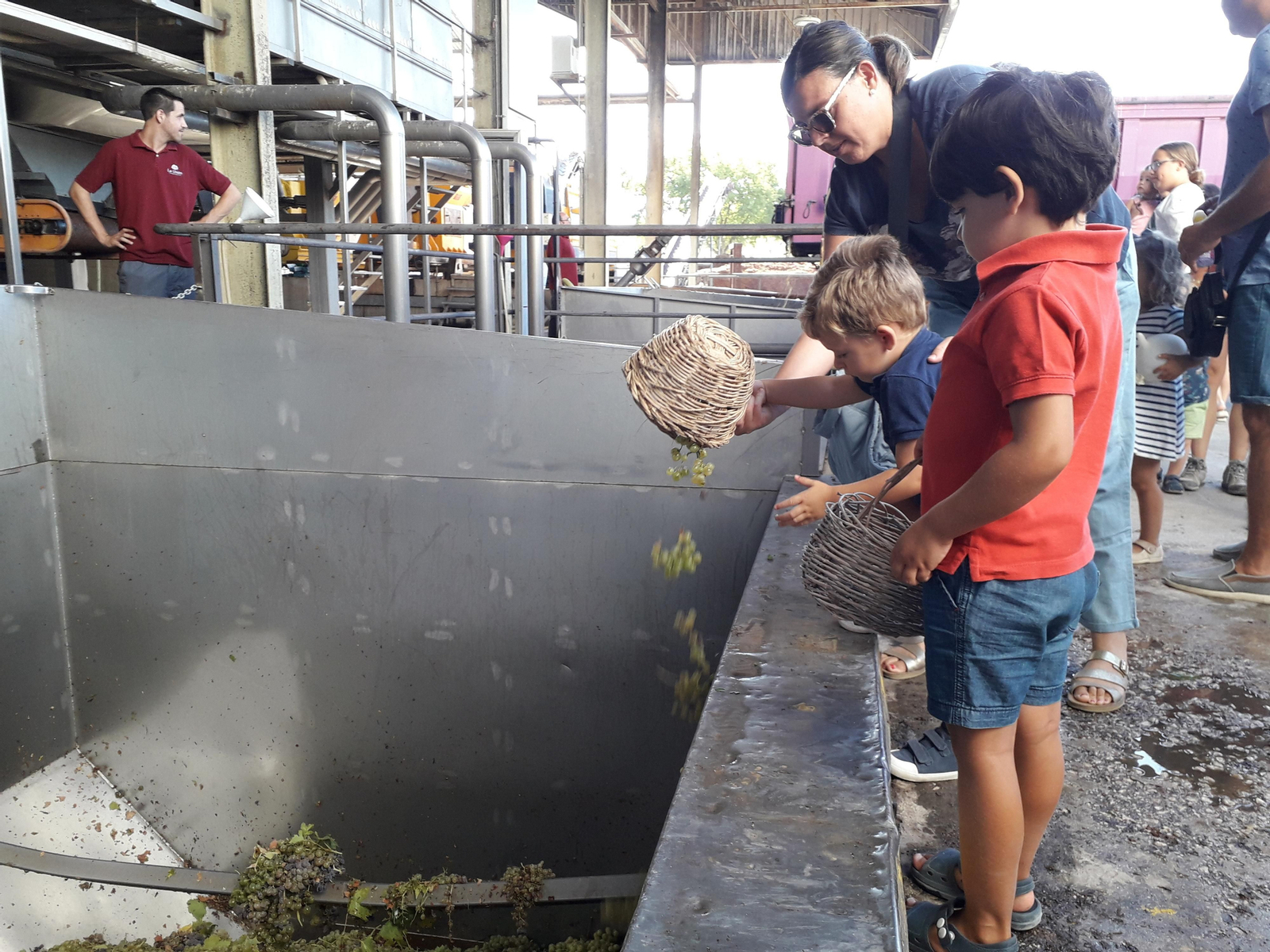 La primera vendimia infantil de Montilla, en imágenes