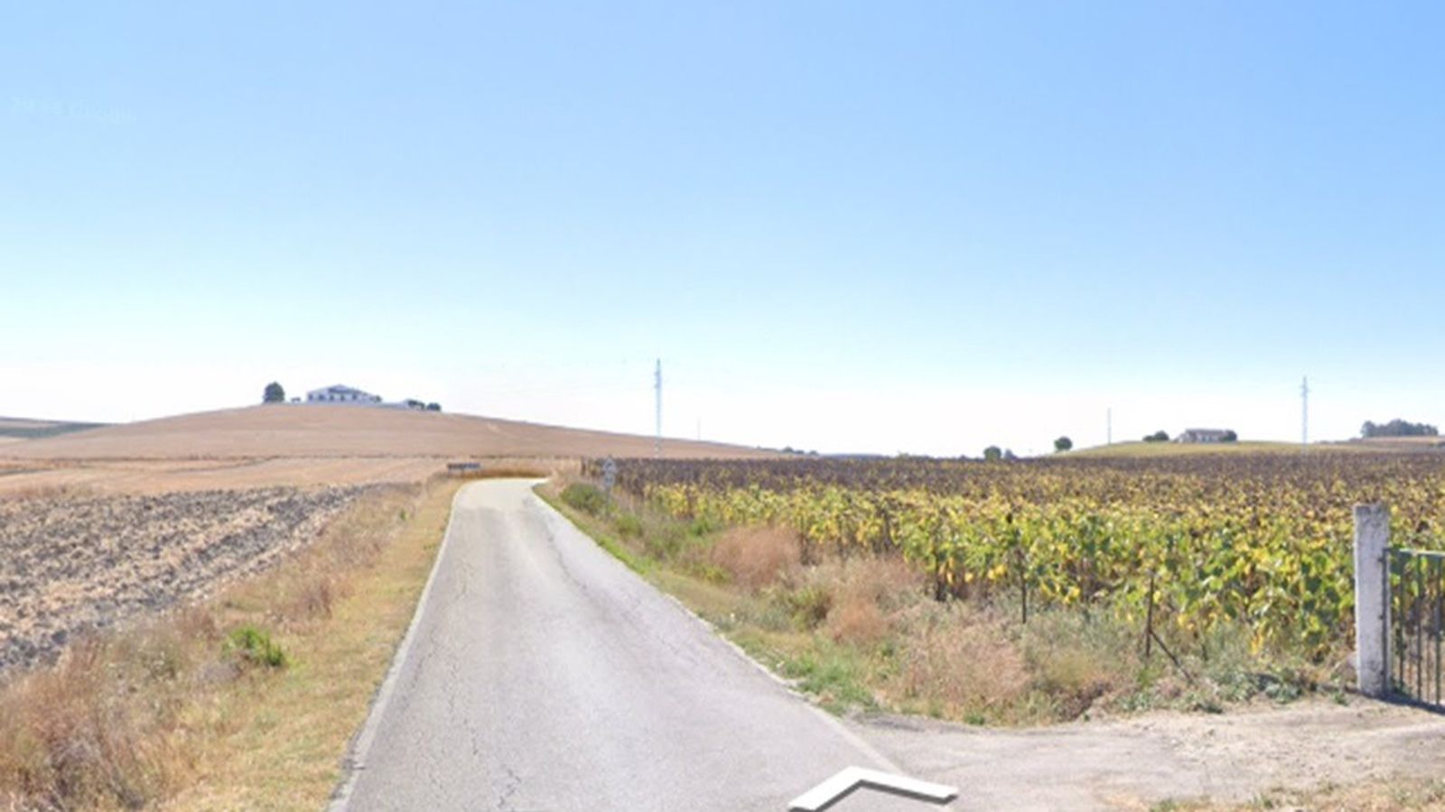 Carretera CA-3102, donde tuvo lugar el accidente en Macharnudo, en Jerez.