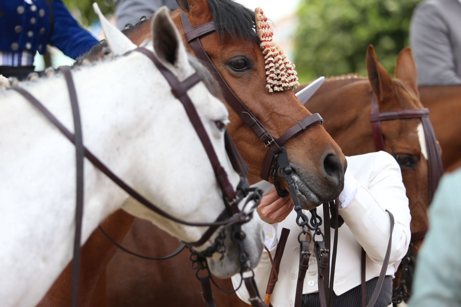 Domingo de Feria en Sevilla