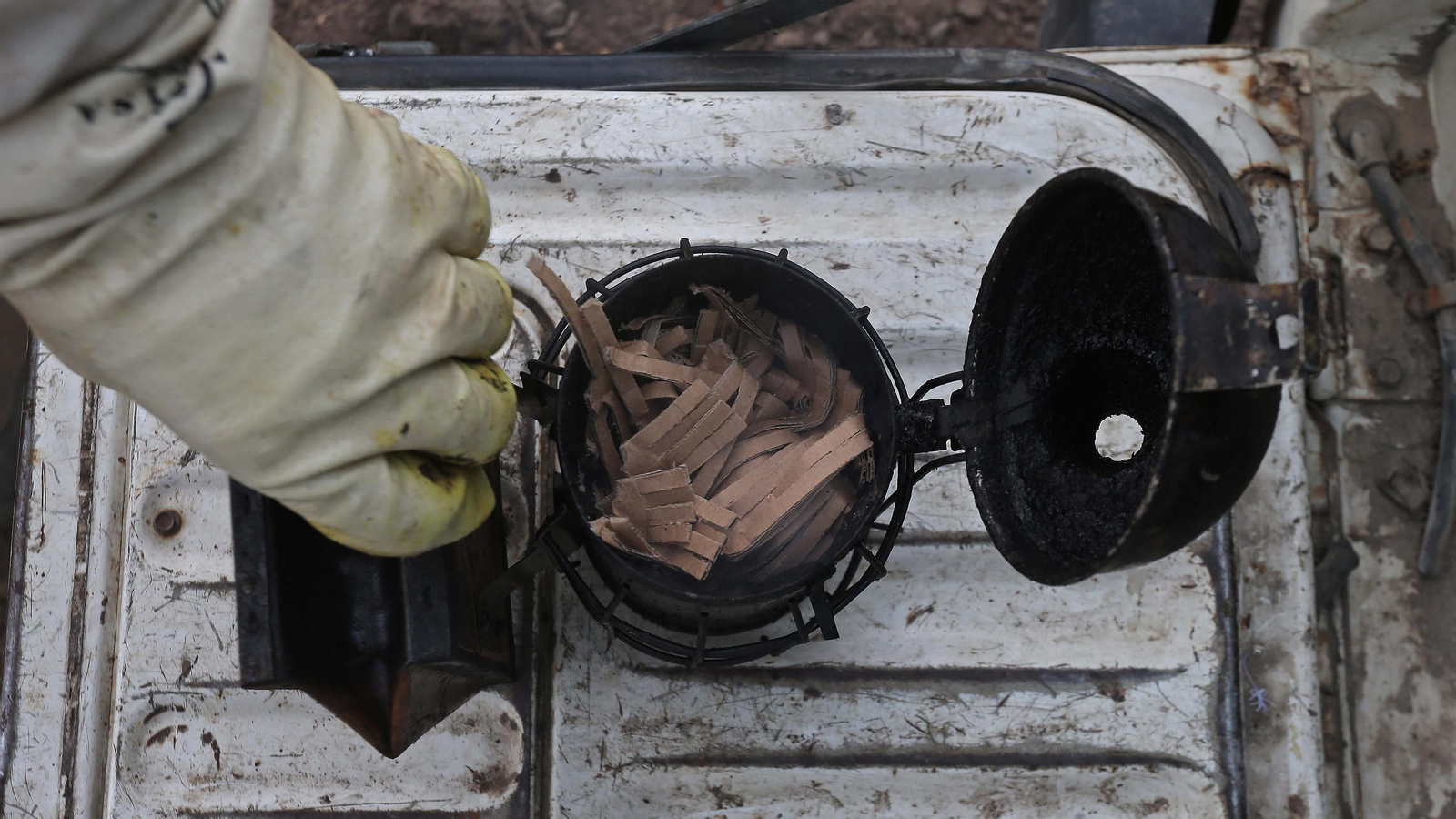 El arte de la apicultura en Los Barrios