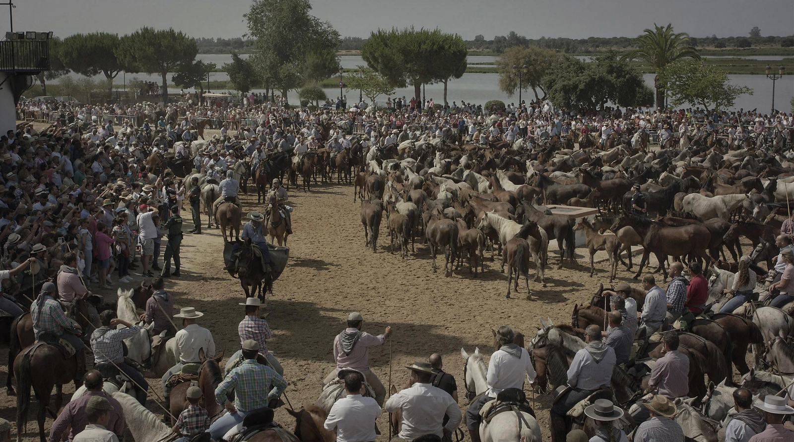 La tradicional y ancestral 'Saca de las  Yeguas', en imágenes
