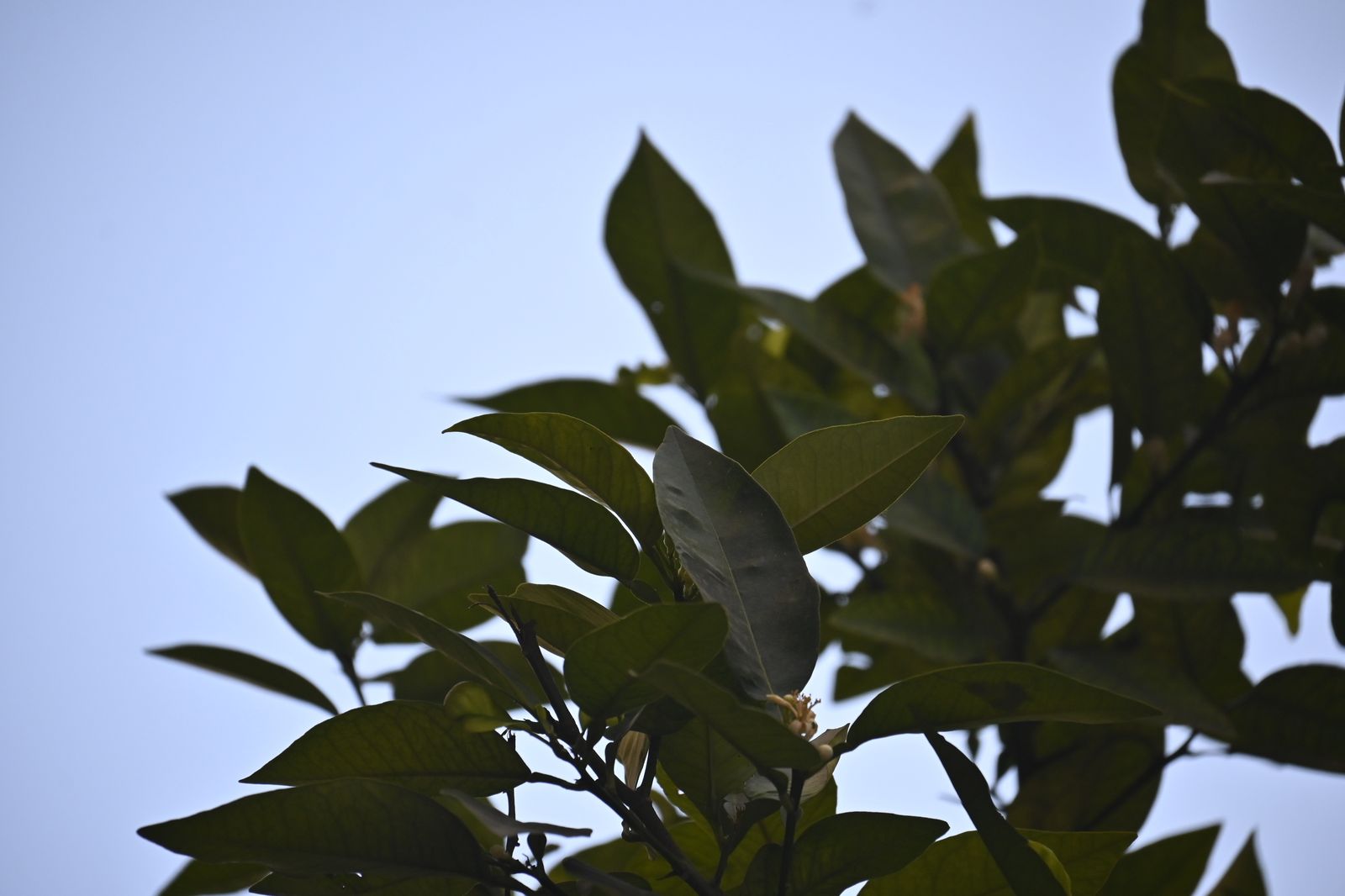 Imágenes del jueves 6 de julio, en Huelva