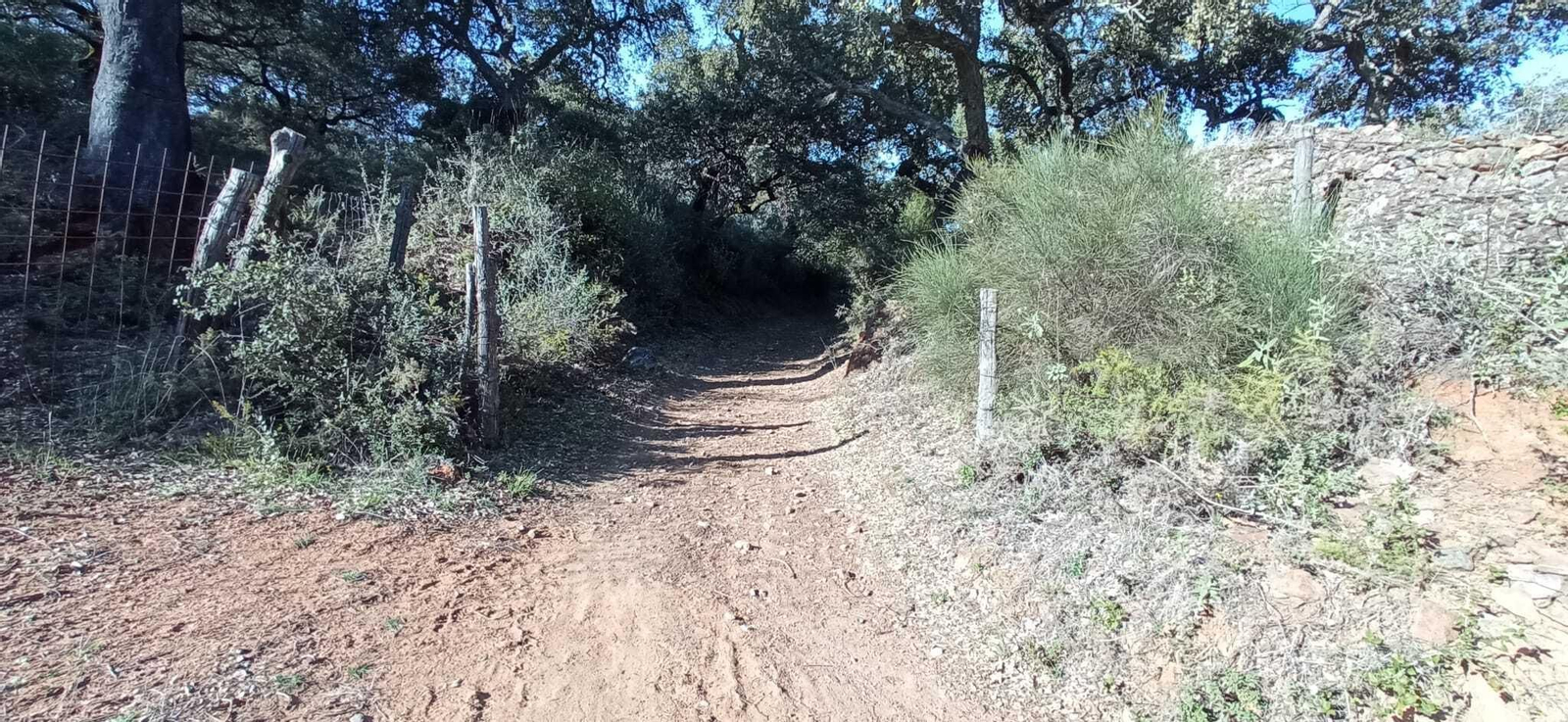 Fotos de la Ruta circular Aracena-Linares de la Sierra-Aracena