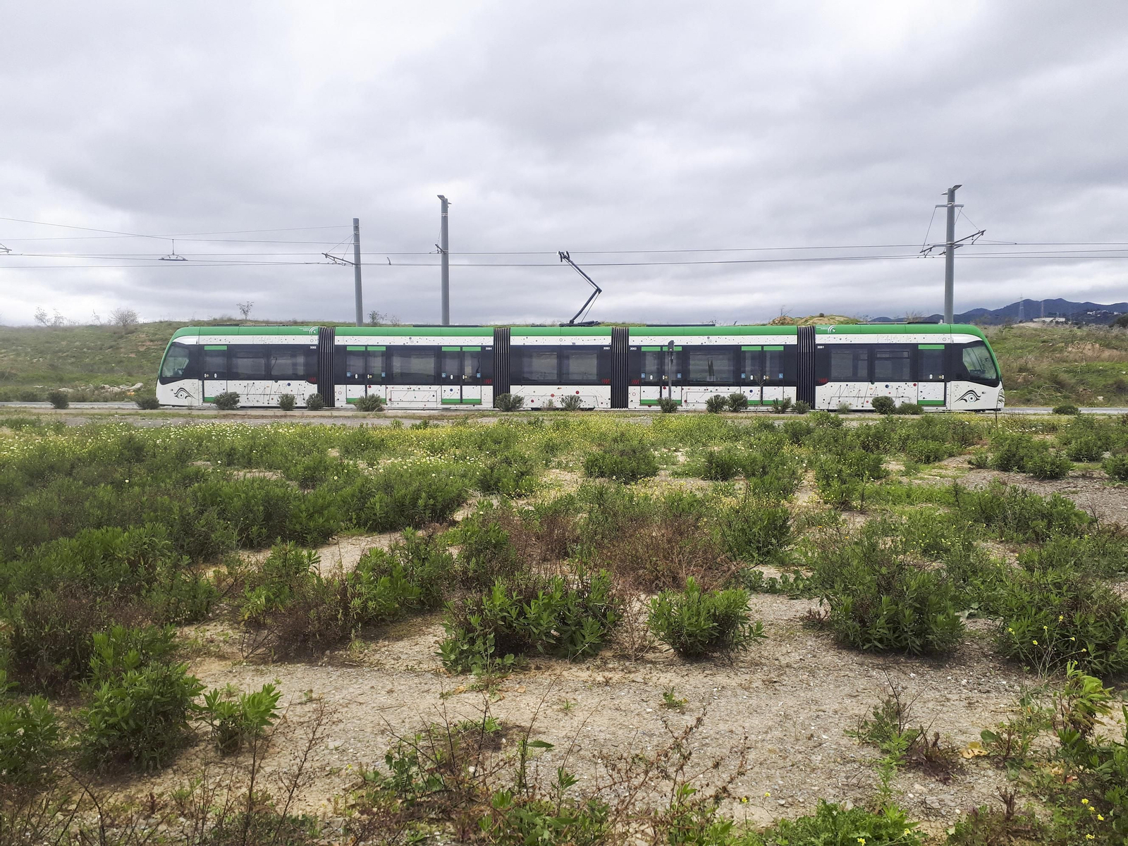 Vista de un tren del Metro, a su paso por el trazado en superficie de la Universidad.